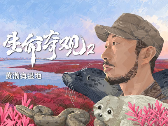 开播通知｜《生命奇观2》黄渤海集