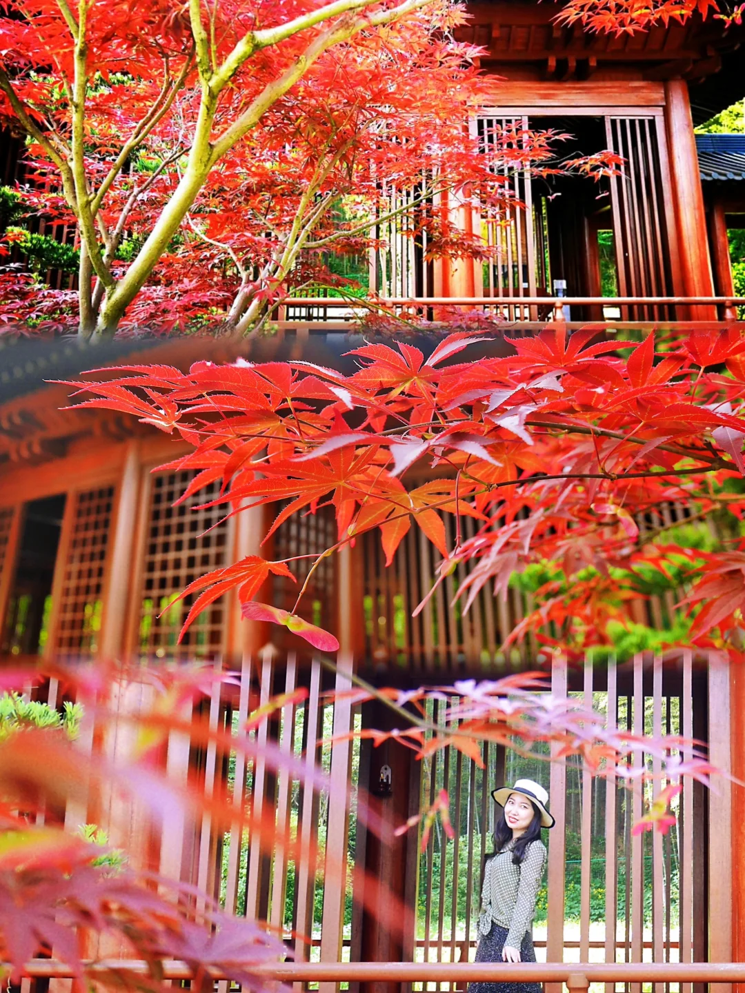 5年前的兰亭天章寺，我看到了《清平乐》…