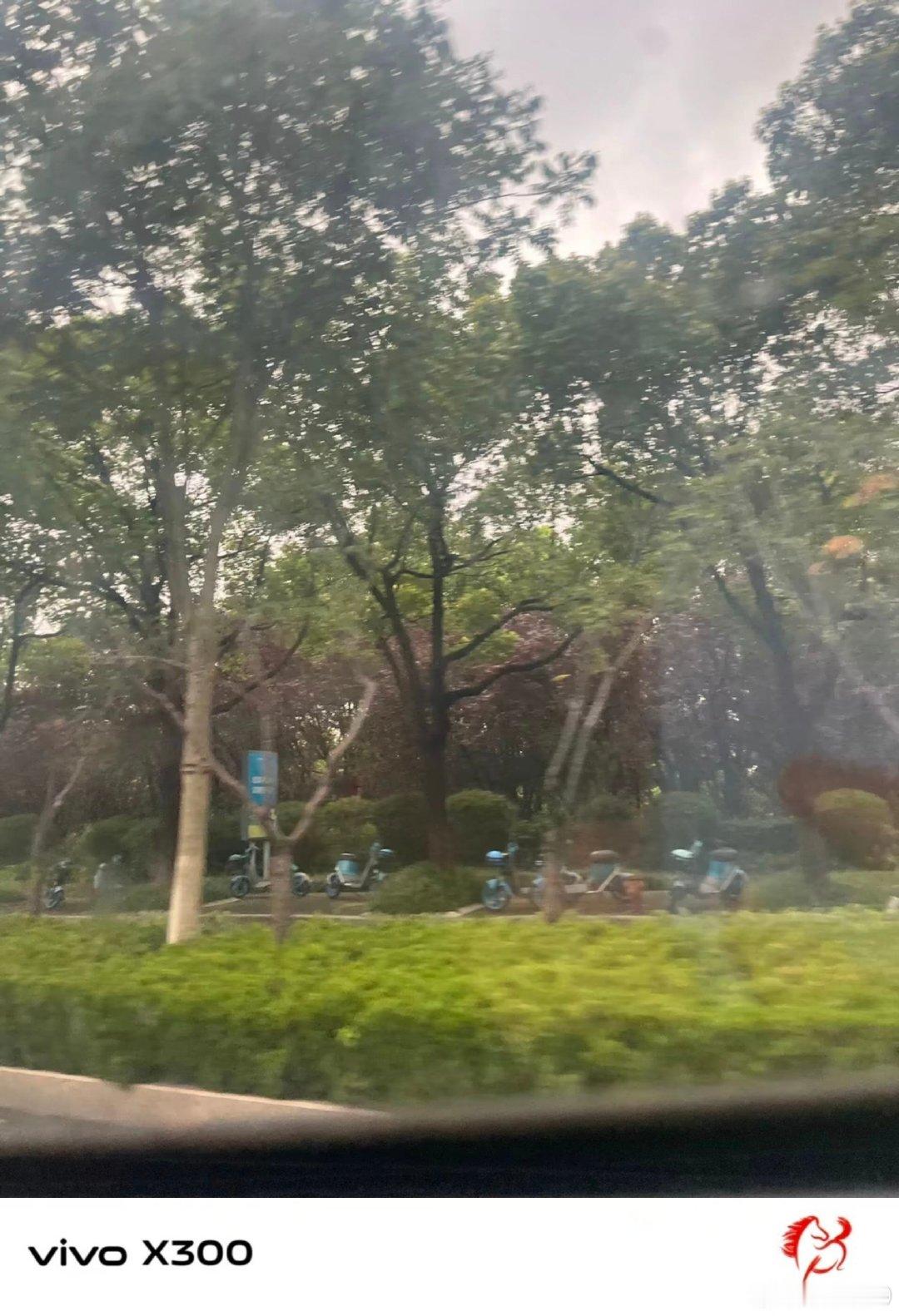 #vivo[超话]##vivo超话# 坐车路过街边，窗外绿树成片，一晃而过的风景，是旅途里不经意的小美好。 ​