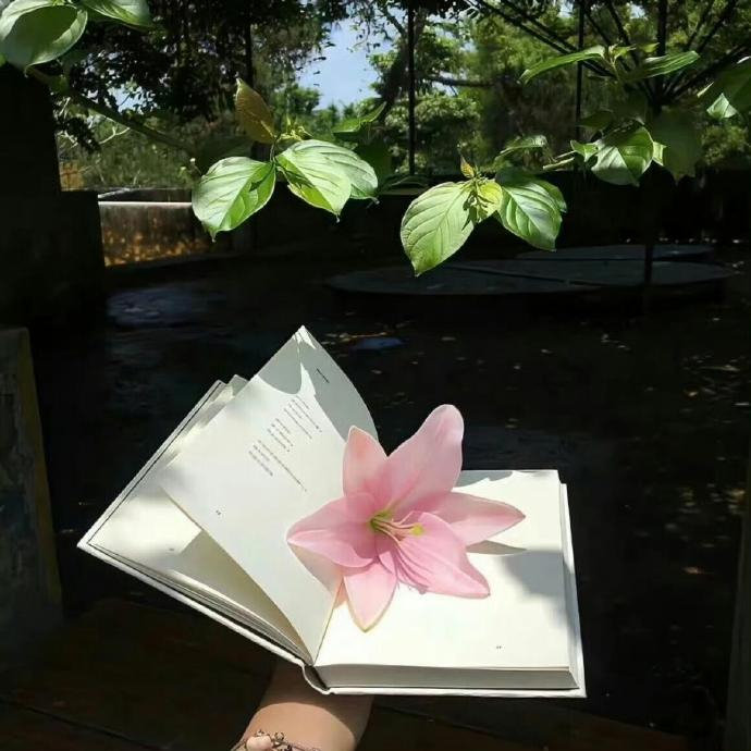 ˋˏ🌿ˎˊ˗ 𓏽🍁 '͜' ˶ 

      与夏天告别，和秋天相拥，
      希望我们的九月顺风 顺水 又顺意🧡 ​