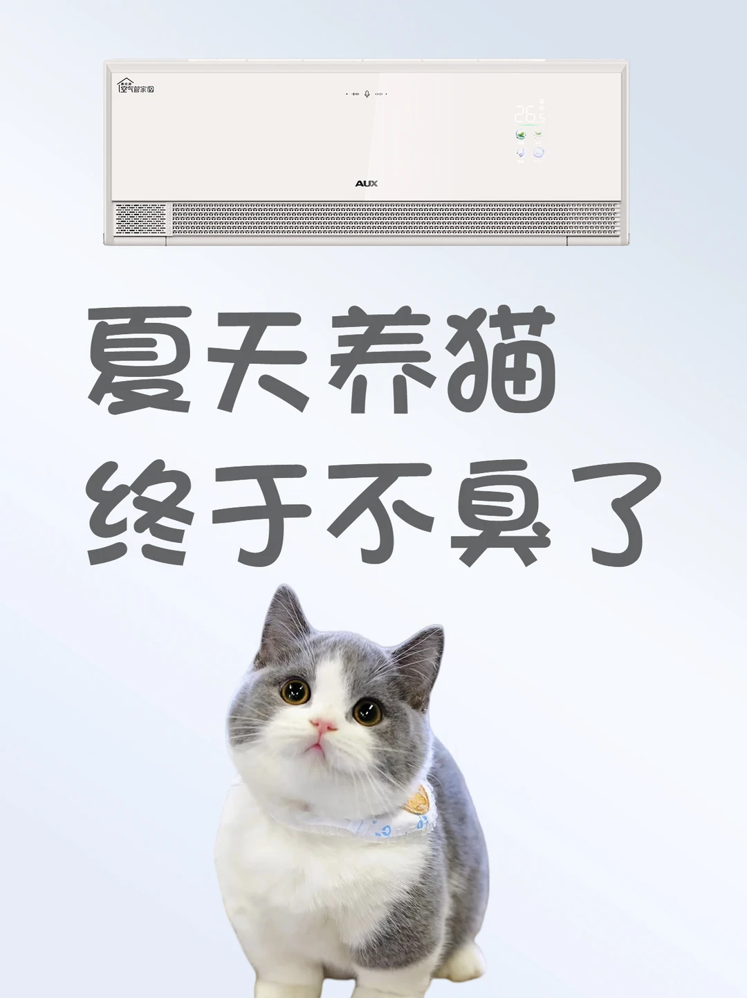 养猫不臭！这空调新风绝了