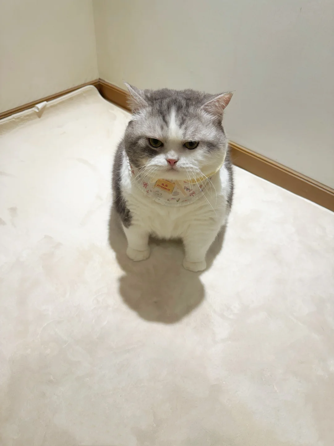 蹲在那里怨气很重