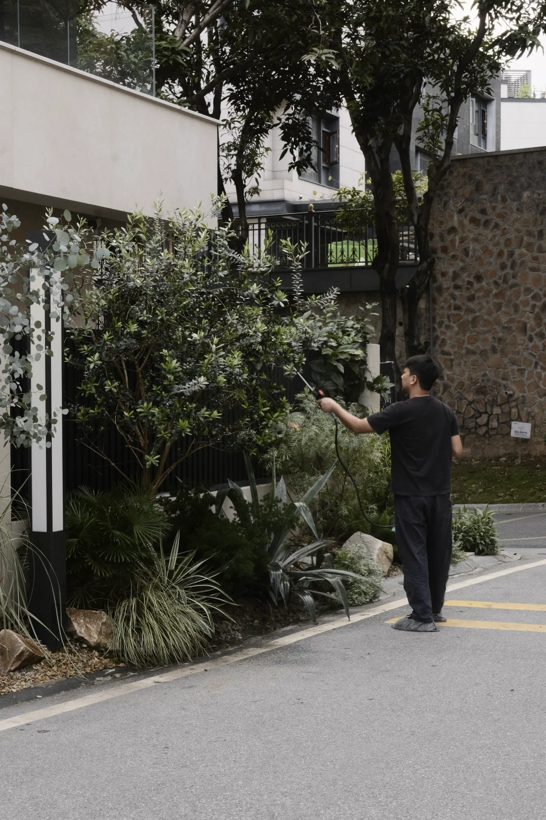 自由生长八月招聘更新｜植物方案设计师