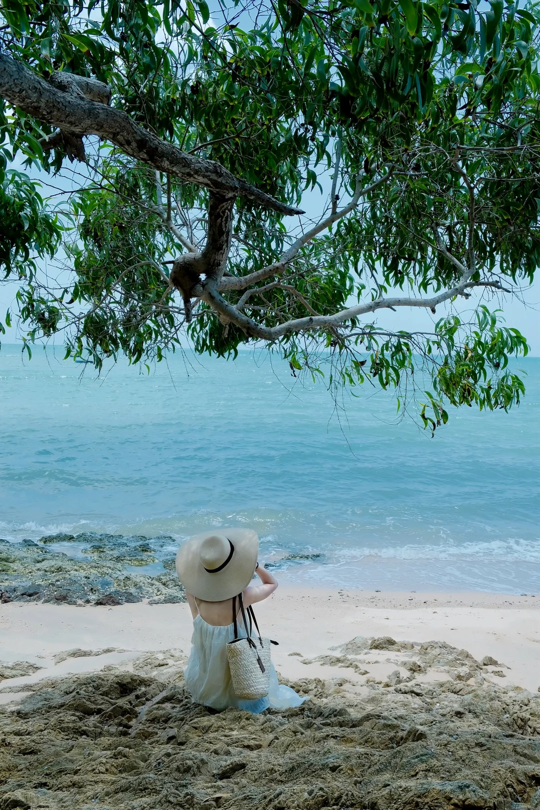 找一片海，尽情浪费时间🌴
