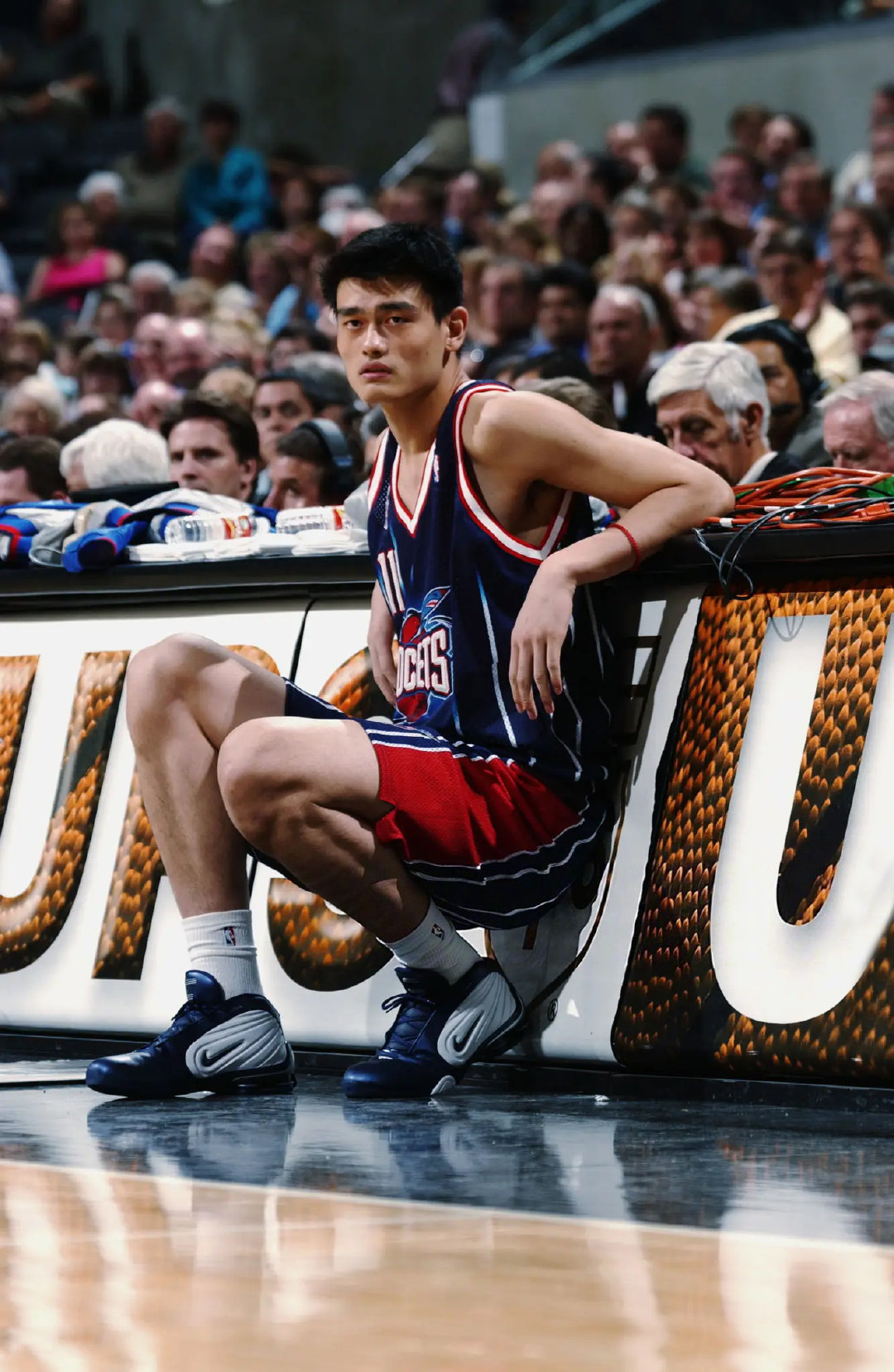 姚明 · Nike Shox Limitless

2002

#休斯顿火箭##Nike[超话]##鞋控的日常[超话]# ​​​​