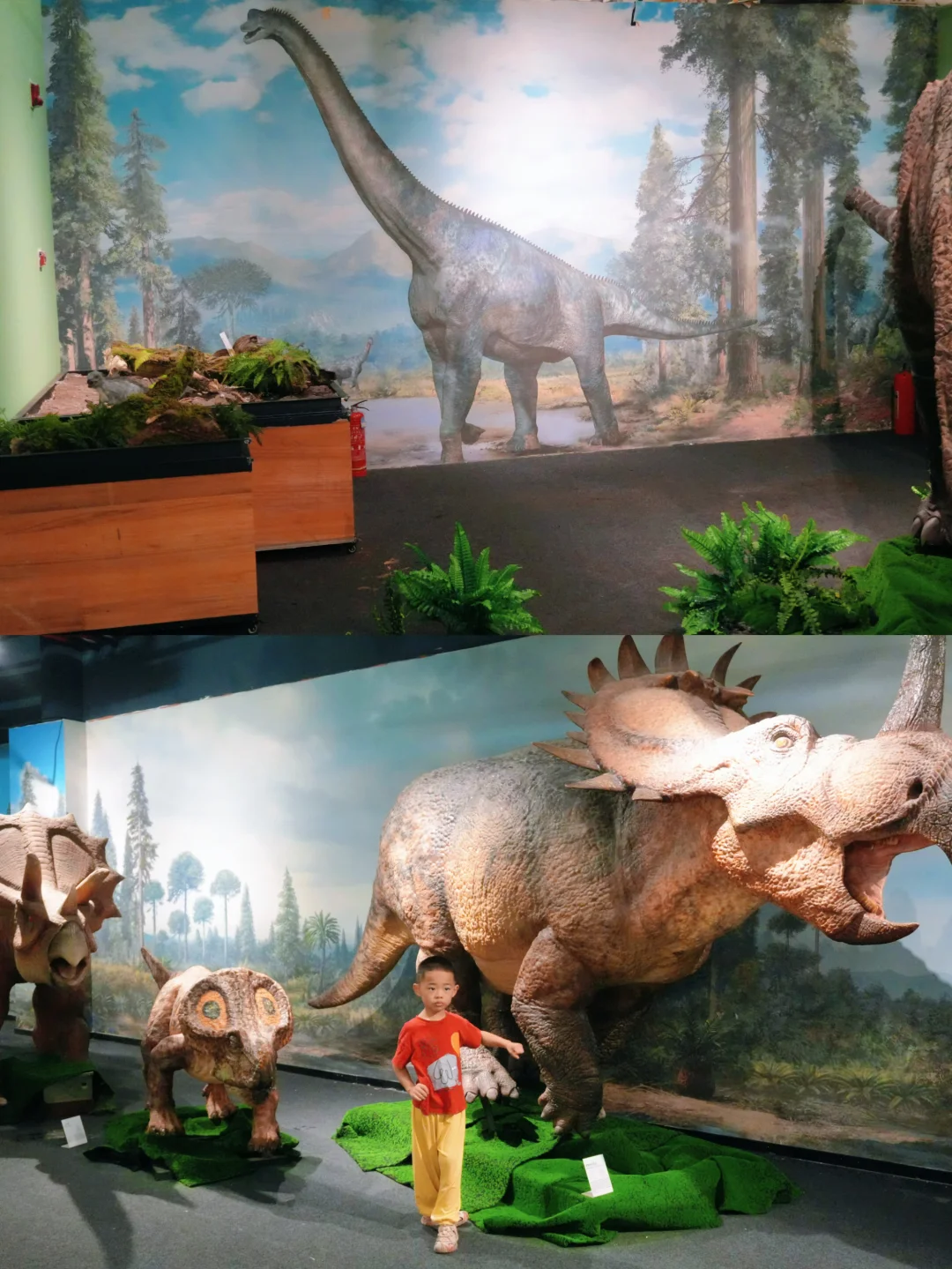 武汉遛娃新大陆！进入“侏罗纪”探秘🦕