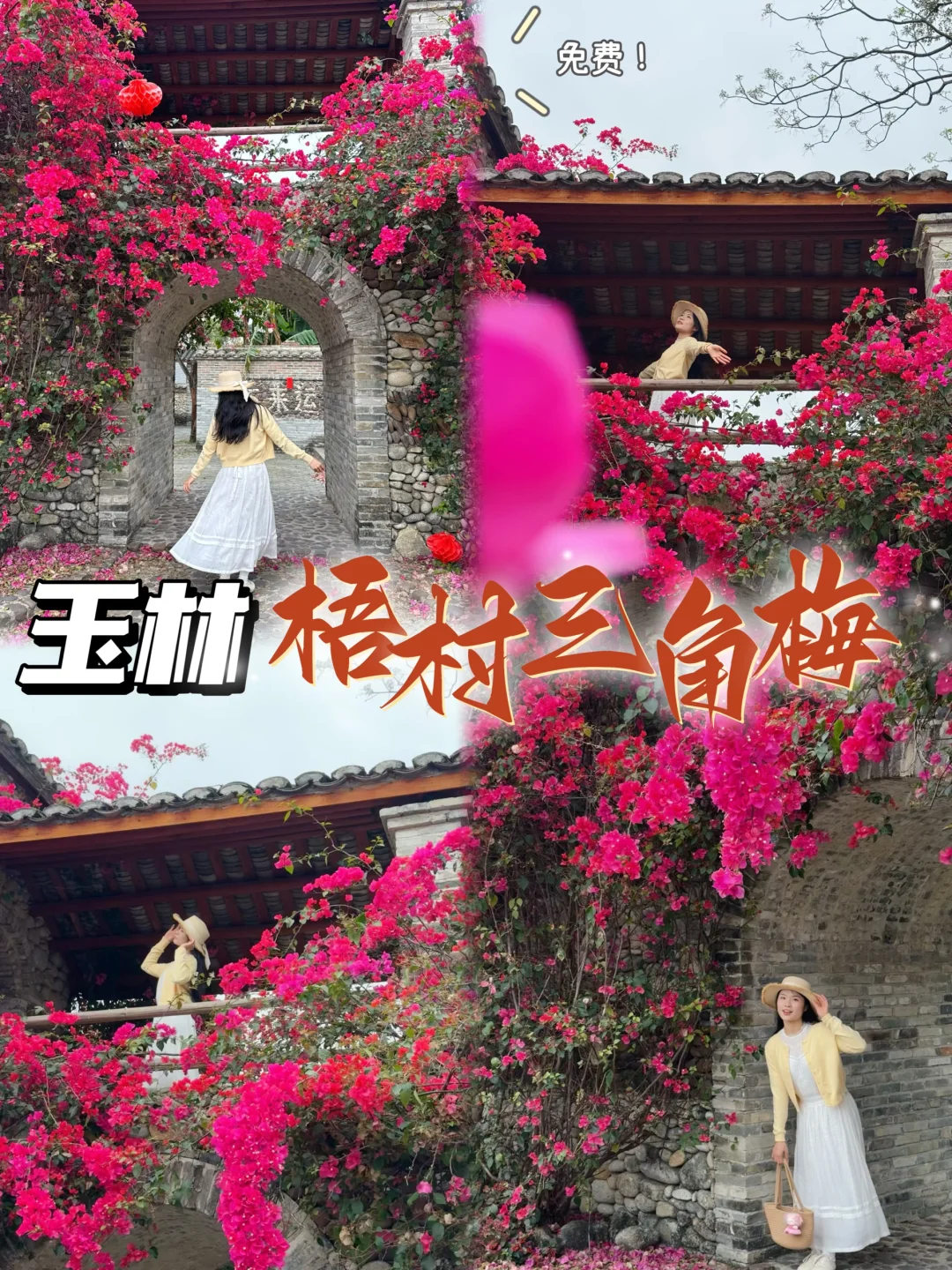 不在云南！在玉林！去有风的地方🌸免费拍照