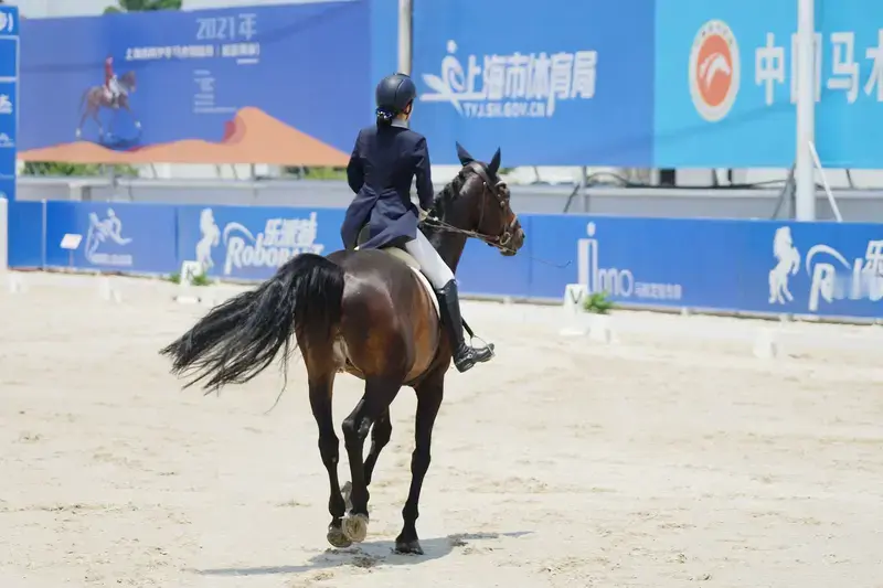 80位上海运动员将出征亚运会 看到80位上海运动员出征亚运会的消息，第一反应就是这阵容真的藏龙卧虎。
覃海洋带着“蛙泳大满贯”的势头冲名古屋，陈芋汐的跳水动作依旧稳得像教科书，37岁的华天已经是第四次踏足亚运赛场，14岁的壁球小将殷子媛作为队里最小的选手，第一次站上洲际大赛的舞台就敢闯。
整支队伍平