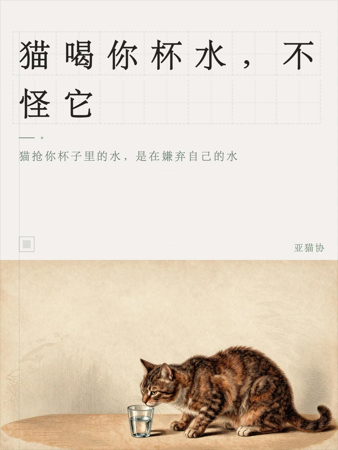 猫喝你杯水，不怪它