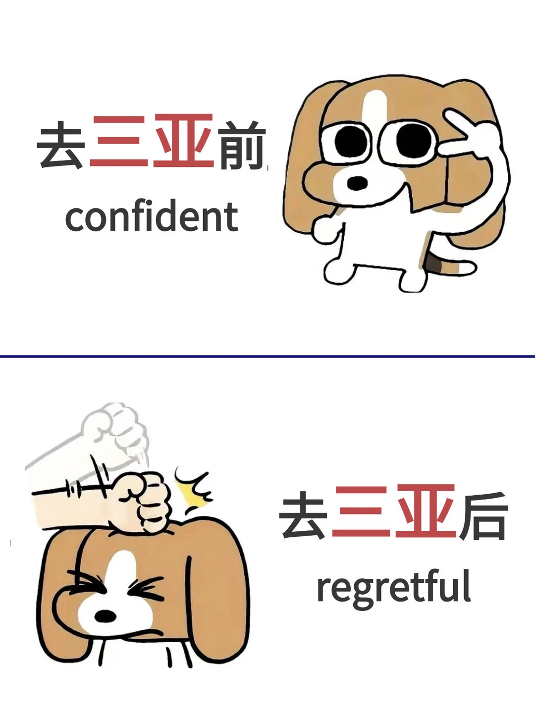 谁懂啊！去三亚之前没刷到这篇我会哭死。。