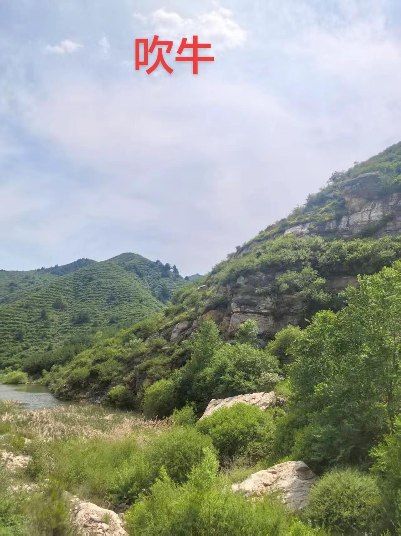 幽默搞笑段子😄😄😄