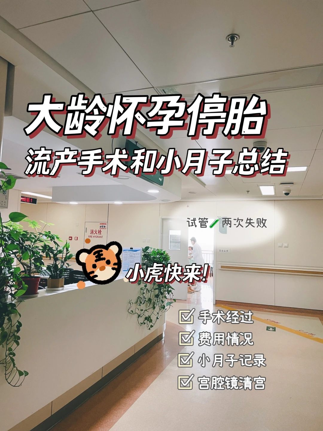 35岁胎停流产总结｜小月子日记｜试管移植