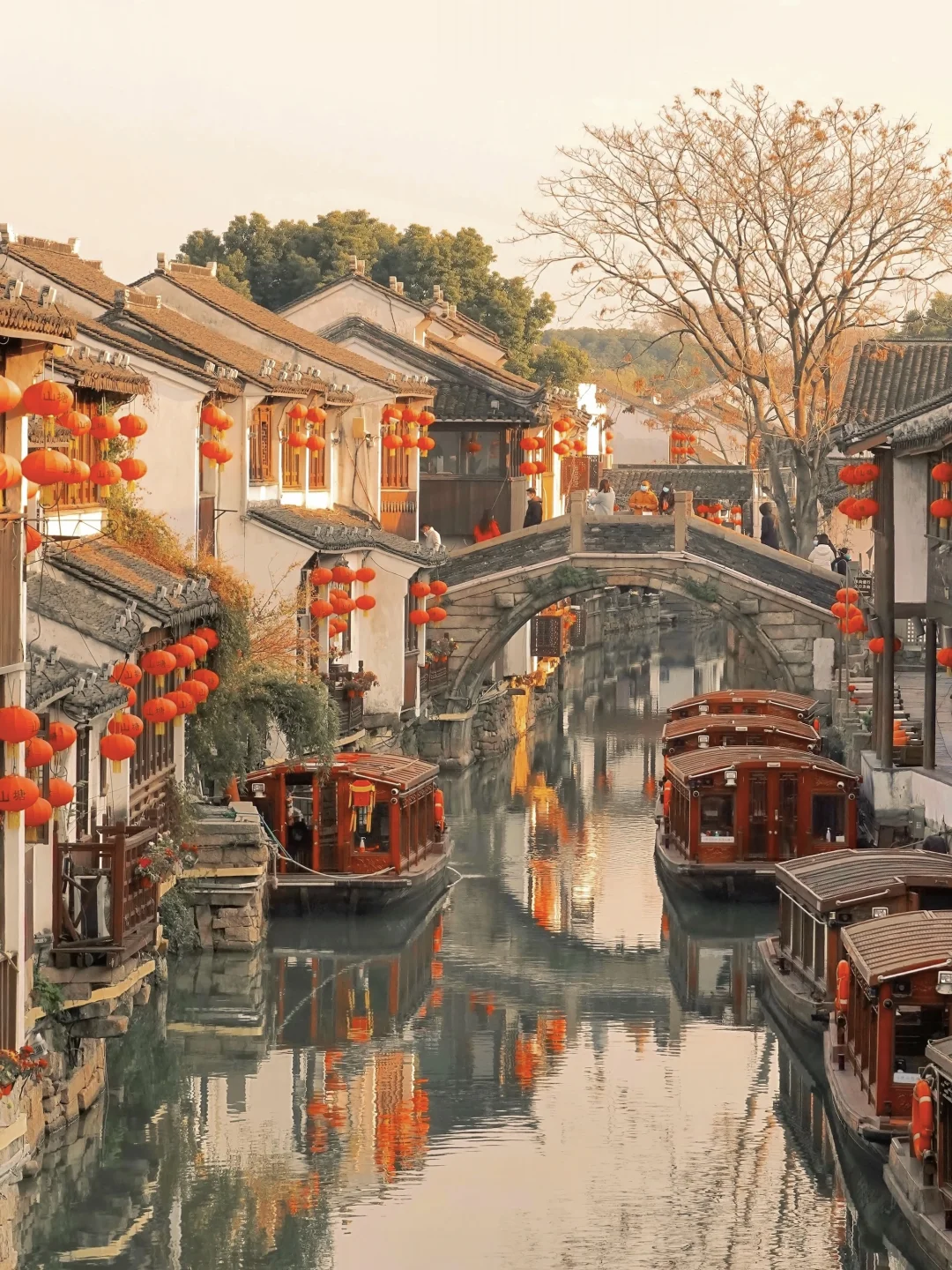 春节来苏州🏮本地人推荐citywalk机位路线‼️