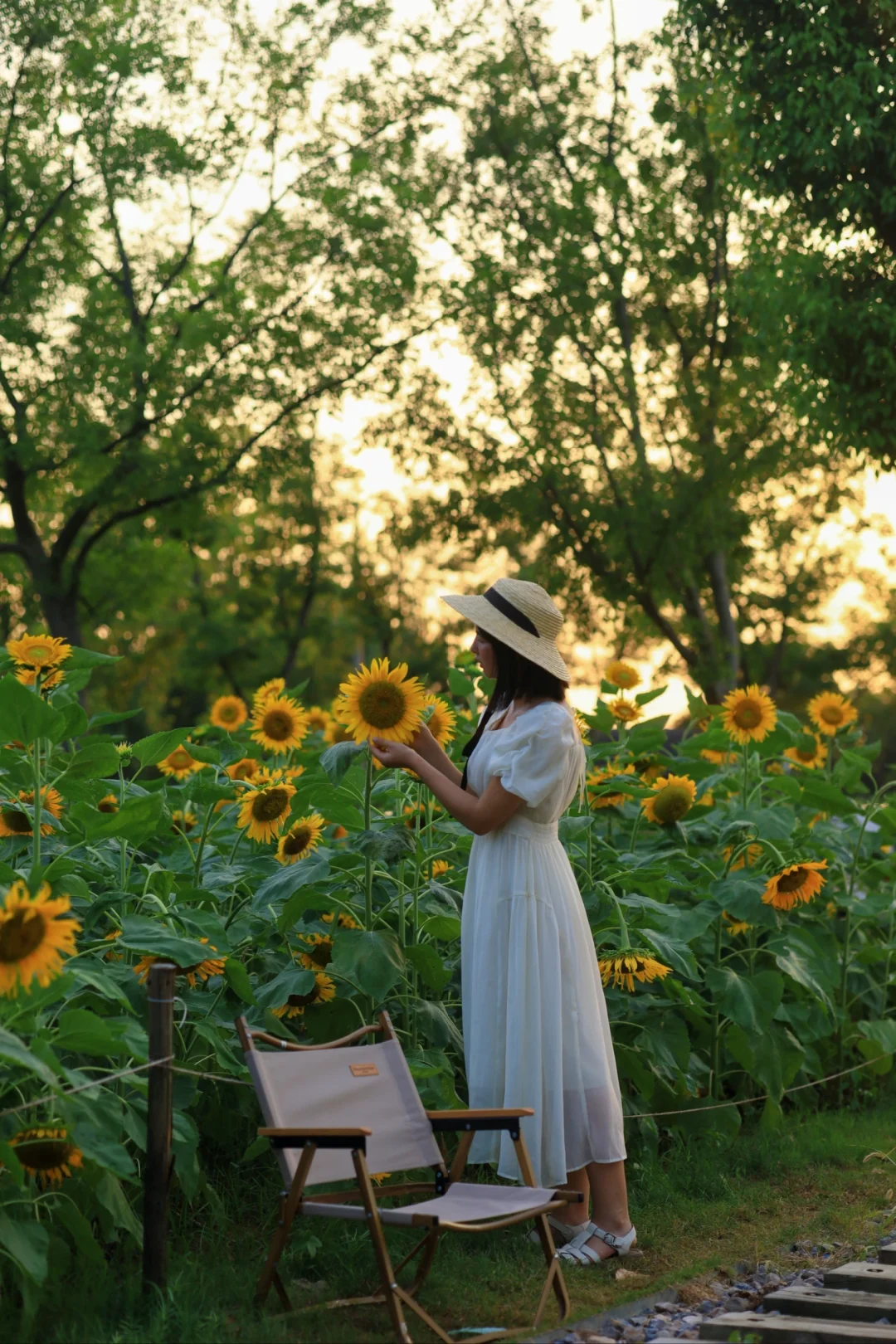 真没人❗️武汉冷门向日葵花海，秒杀梁子湖