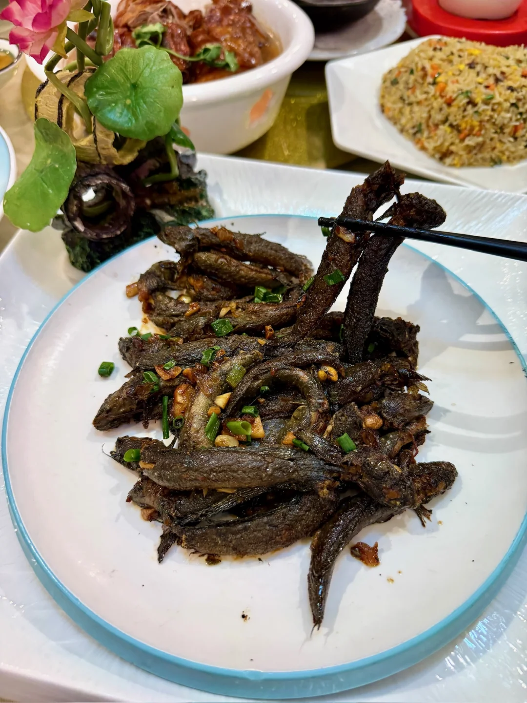 不愧是斗门本地佬最爱吃的老牌酒楼！！