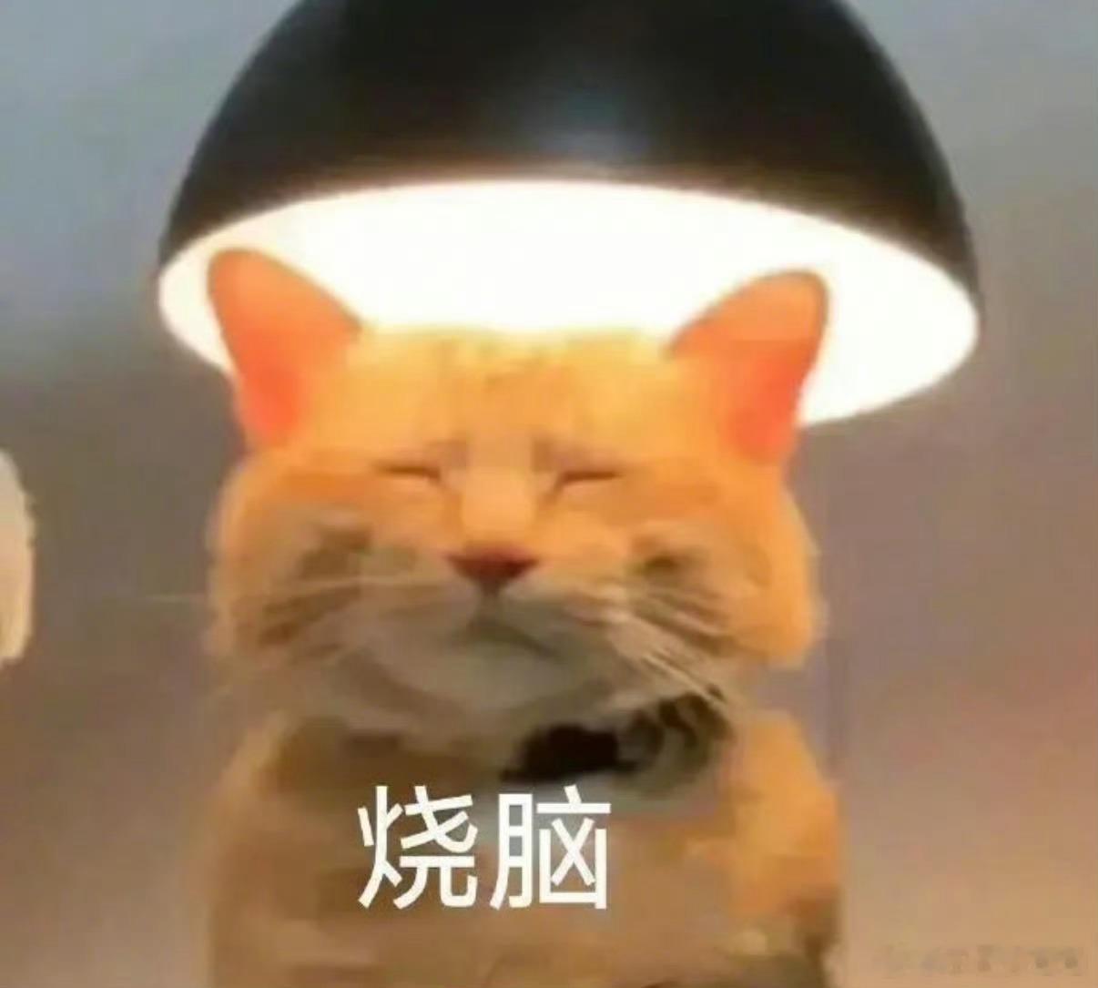 办公室下午茶别为难穷人有时候很容易被这些职场潜规则裹挟。 ​​​