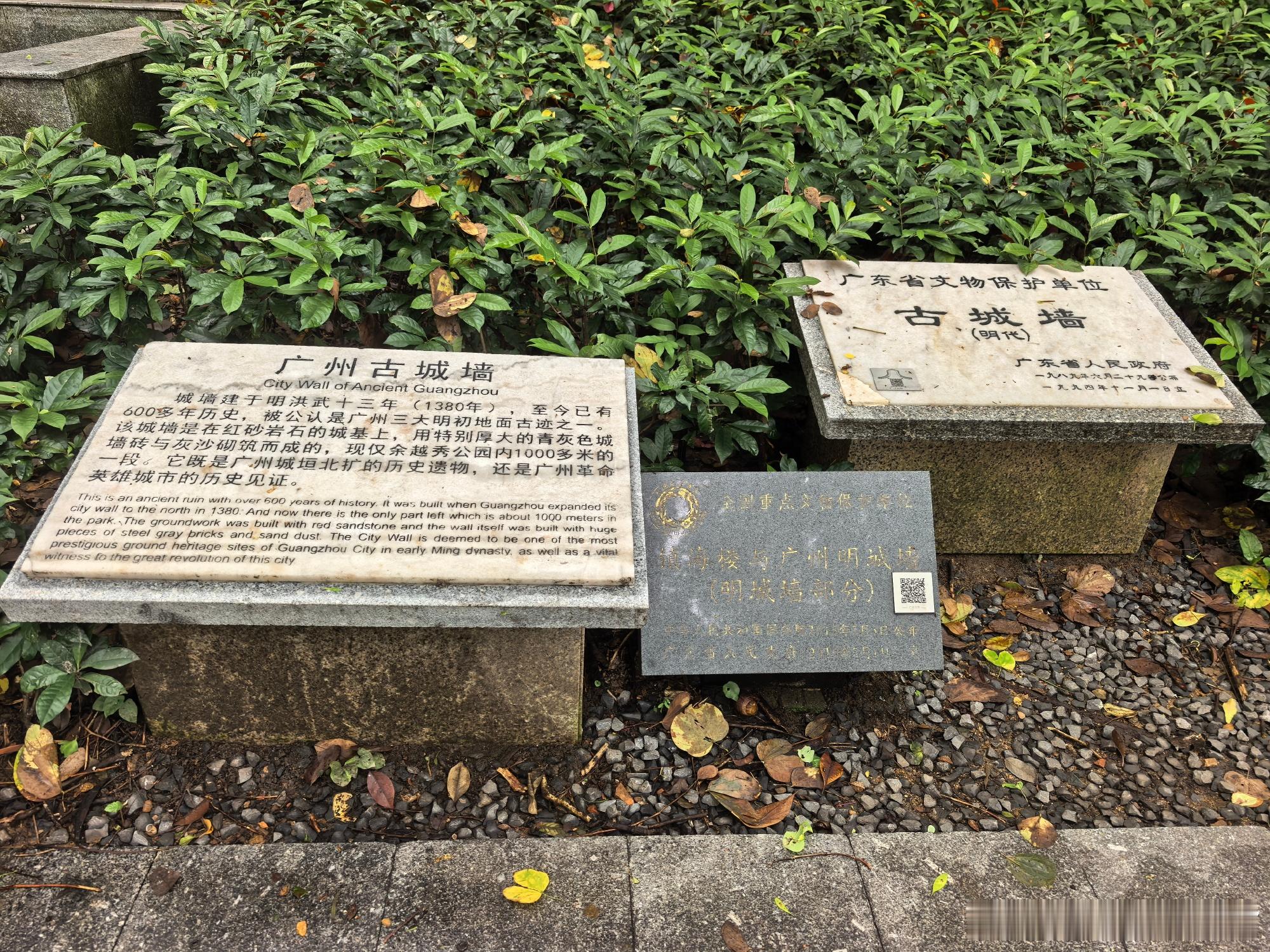 雨后的越秀公园，空气清透。陪爸妈走在明城墙下，青砖被雨水洗得发亮，缝隙...