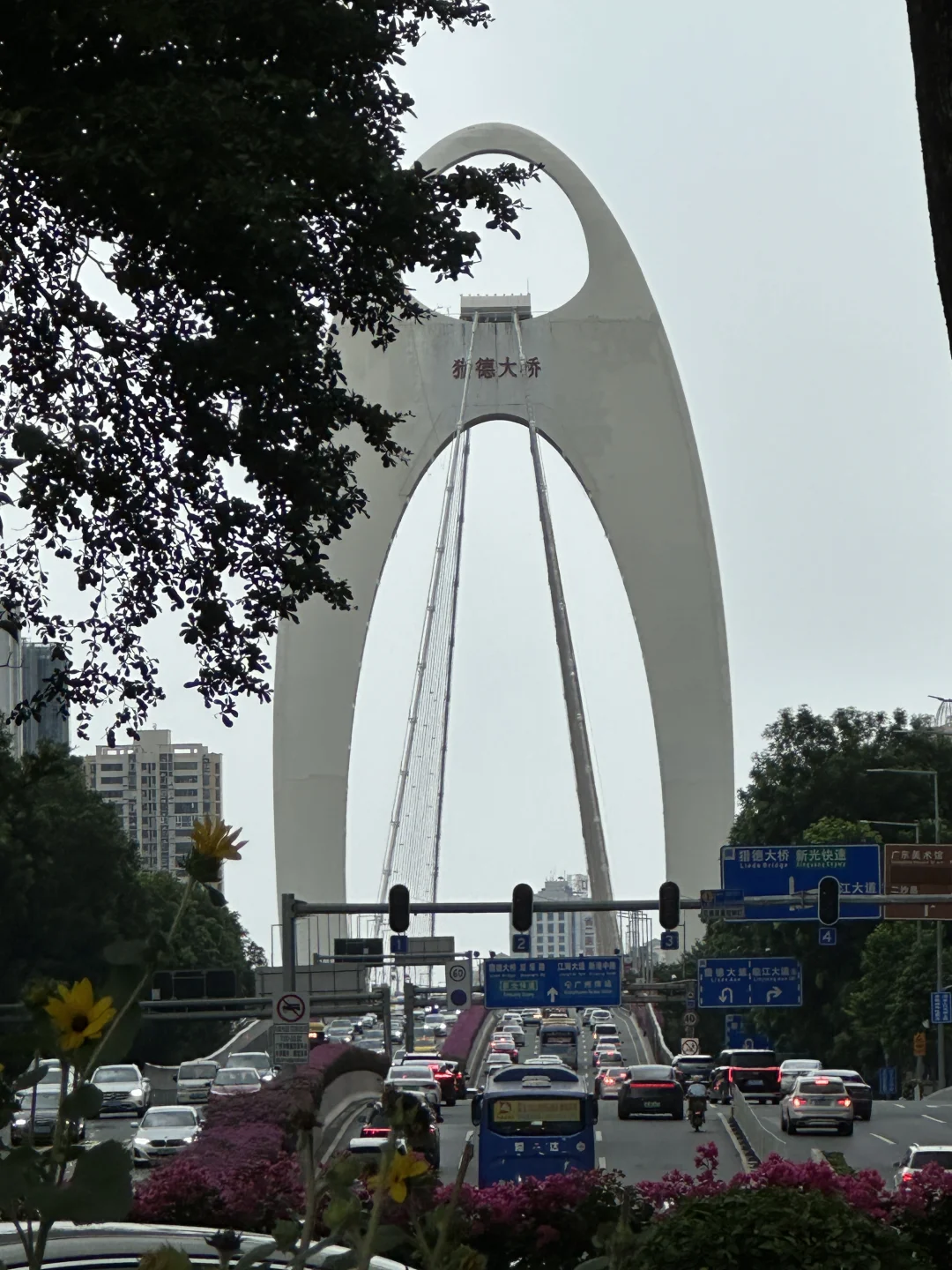 广州暴走一天！配镜打球烤肉超嗨✨