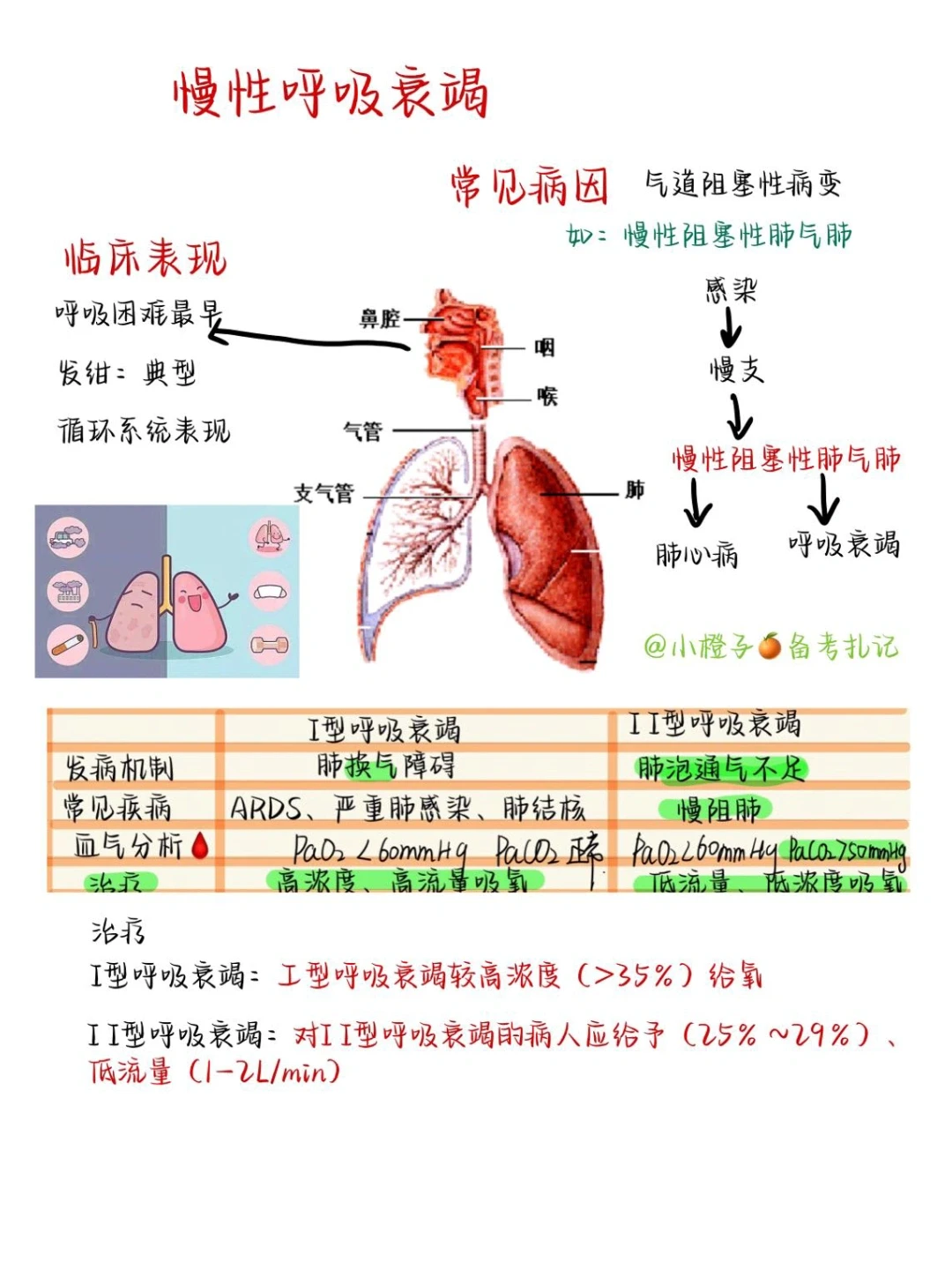 📖｜护师笔记｜内科护理学｜呼吸衰竭👃