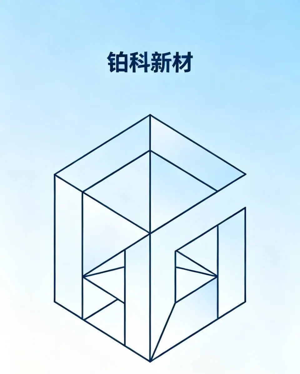双赛道龙头：软磁龙头+芯片电感龙头+市占率全球第一

铂科新材（300811）个股解析
 
⚠️风险提示：以下内容仅为基本面信息整理，不构成任何投资建议，股市有风险，入市需谨慎。
 
一、公司概况
 
铂科新材是创业板金属软磁材料龙头，打通「金属软磁粉末→金属软磁粉芯→芯片电感」完整产业链，核心定 ​