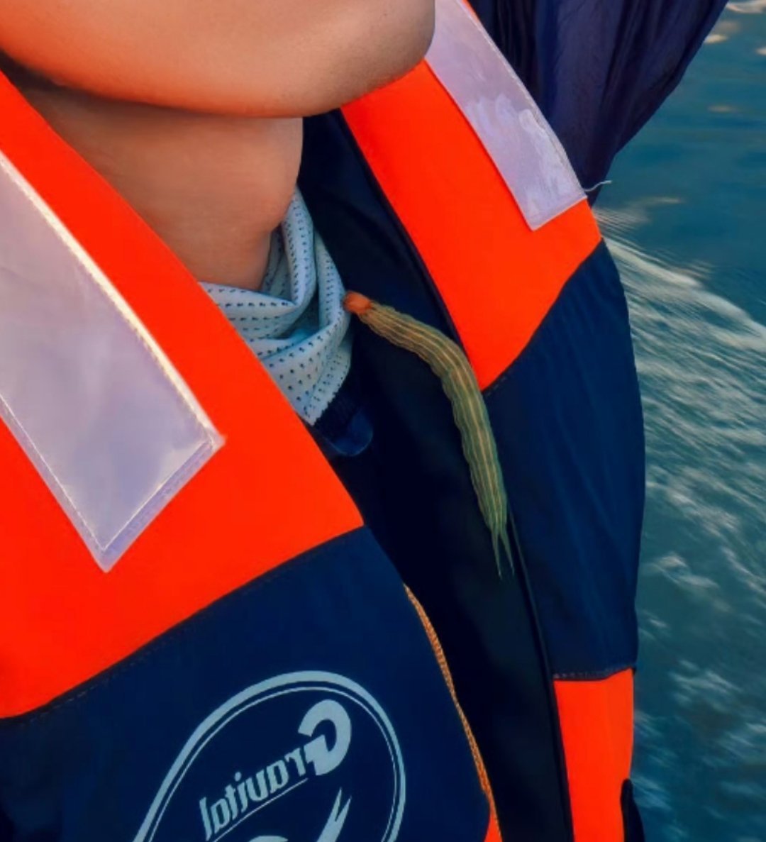 来人啊，谁来告诉王星越他身上有一条🐛子
还是说此男专门为了它来了一张自拍 ​
