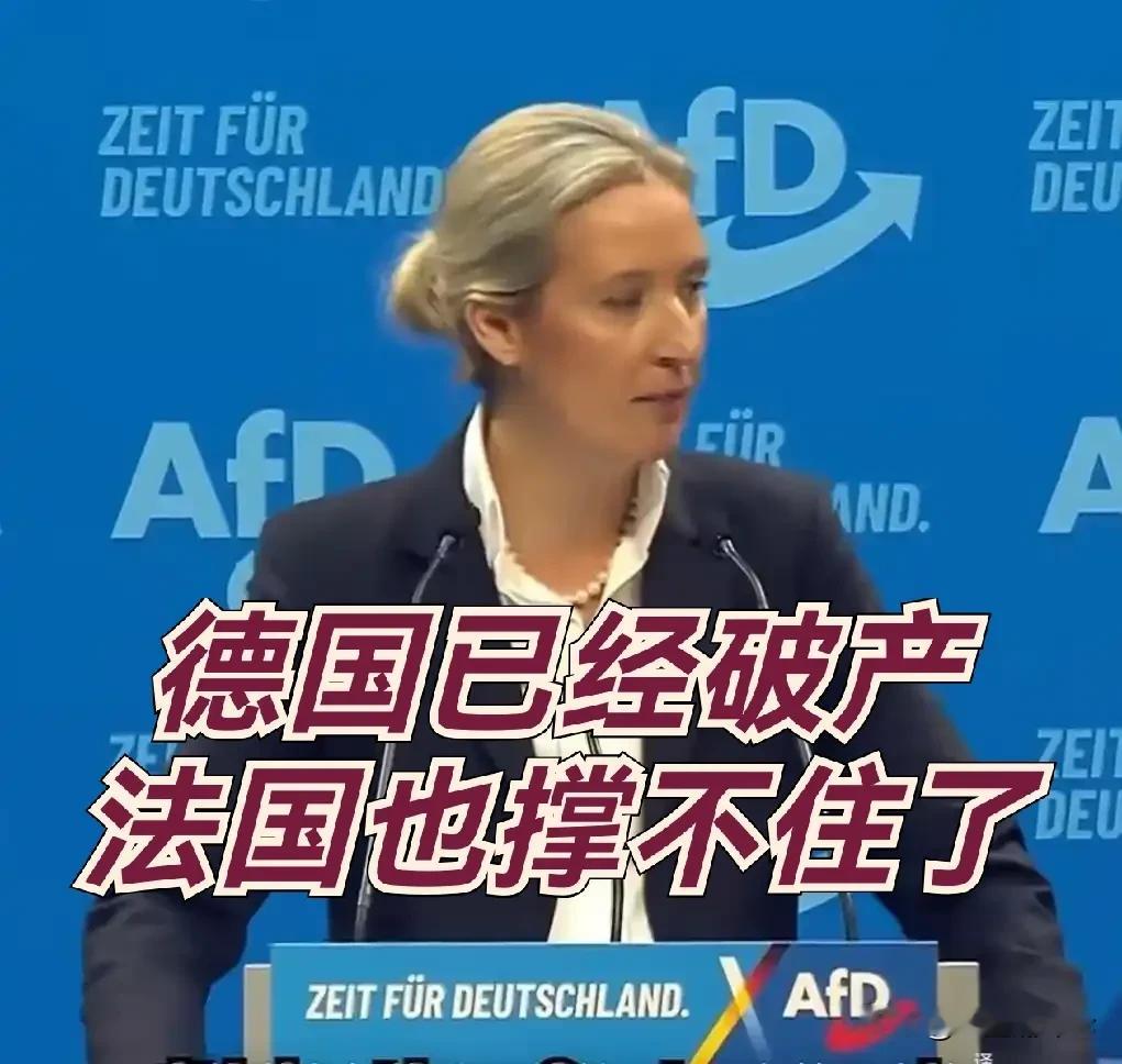 德国已经破产，
法国也快完了。
到底谁要为这些烂摊子主要国家买单呢？
上面这几句话是德国极右翼选择党党魁威德尔说的。
她说“德国已经没钱了”，却没有人告诉德国人民。他认为德国政府用新债还旧债利息本身就是财政失效！
他直接点名默茨，说他是“德国历史上最大的破产者”
魏德尔主张：德国应该退出欧元区、关闭