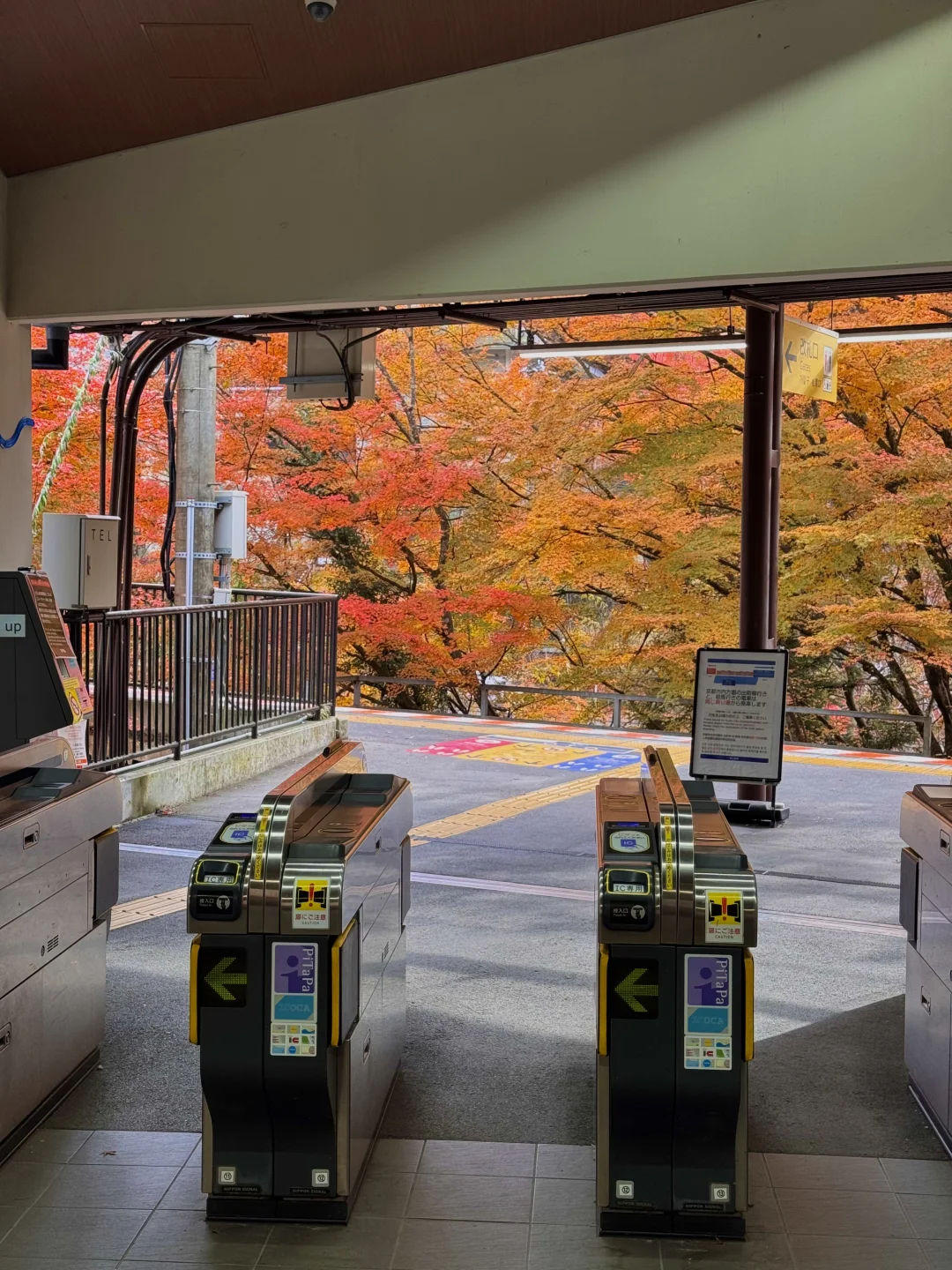 🇯🇵贵船今天真的杀疯了！！！！！！！！