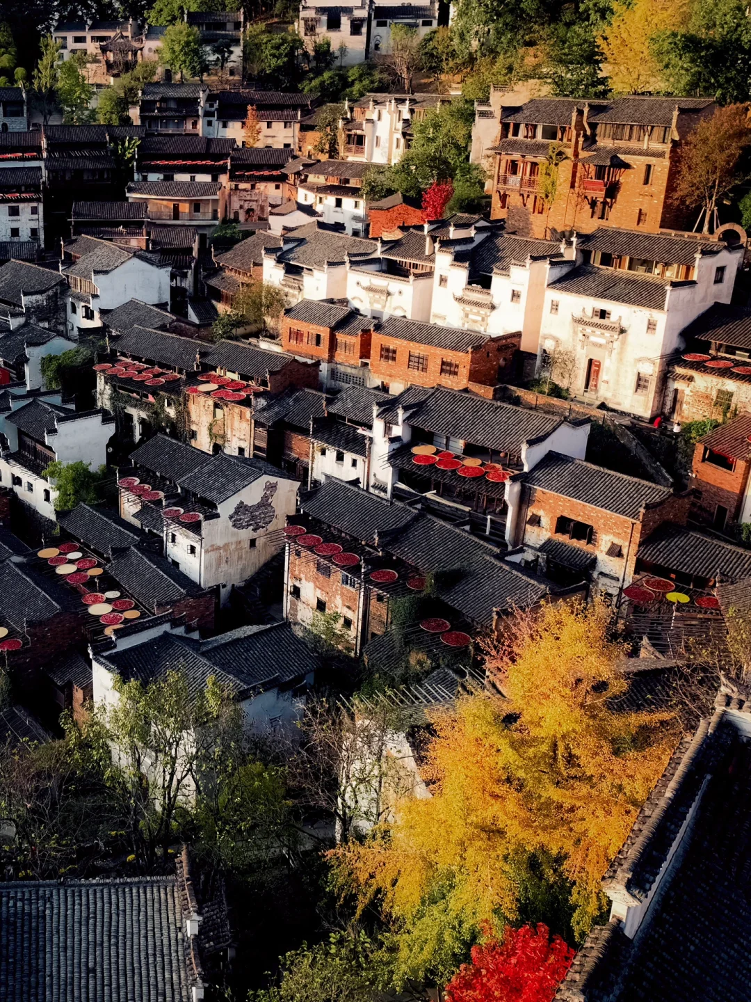 秋天来了🍂我宣布这里是国内最美的赏秋圣地
