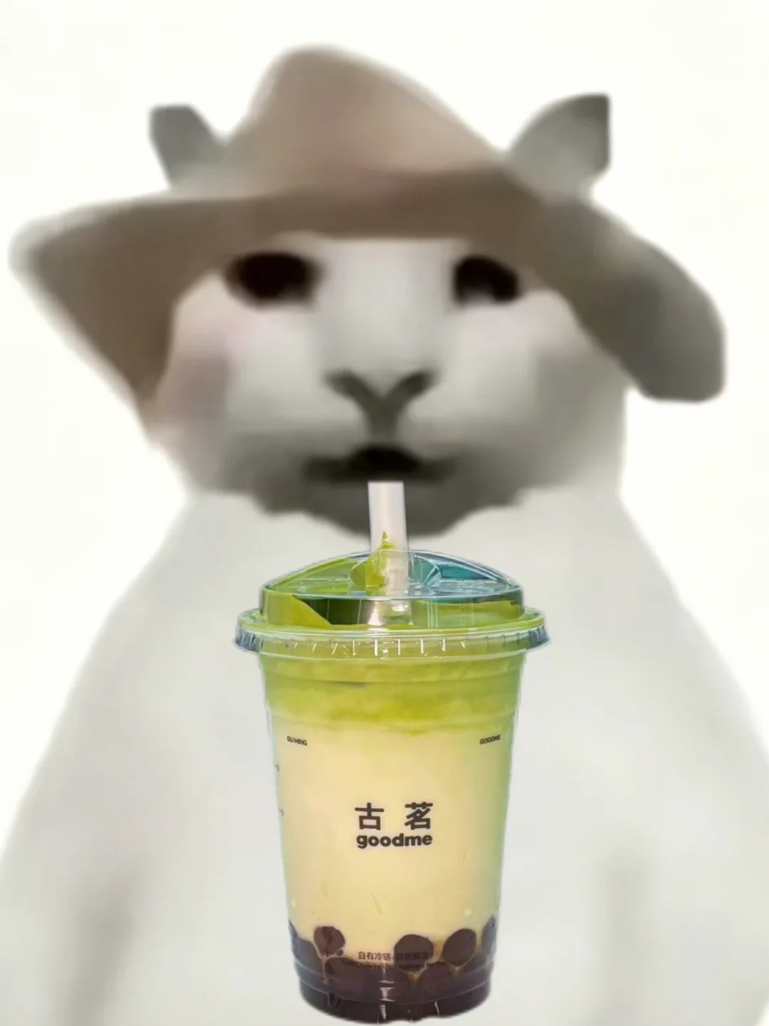 抹茶严父测评古茗抹茶四季春