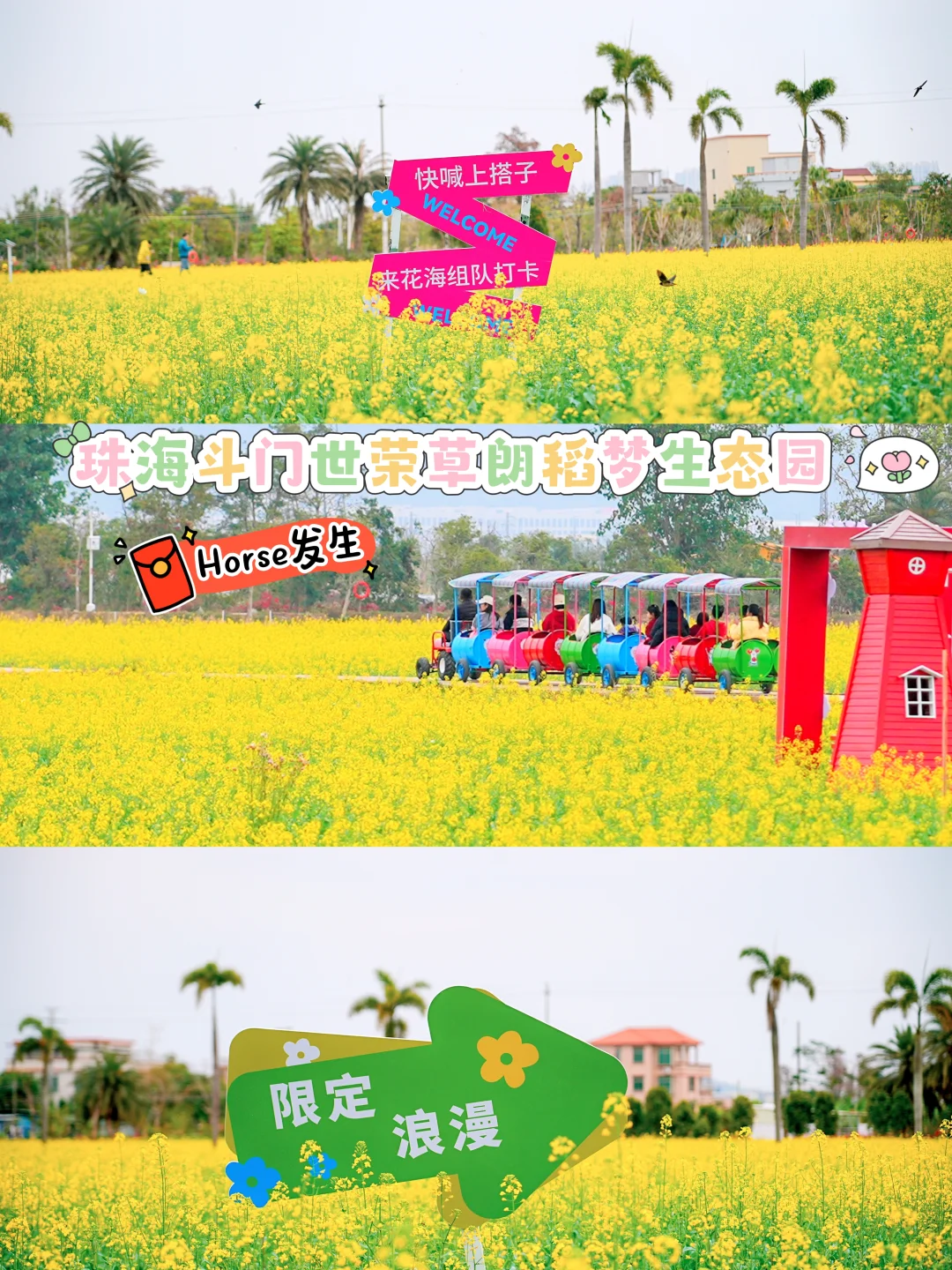 珠海春节遛娃天花板✨住进稻田星空太chill