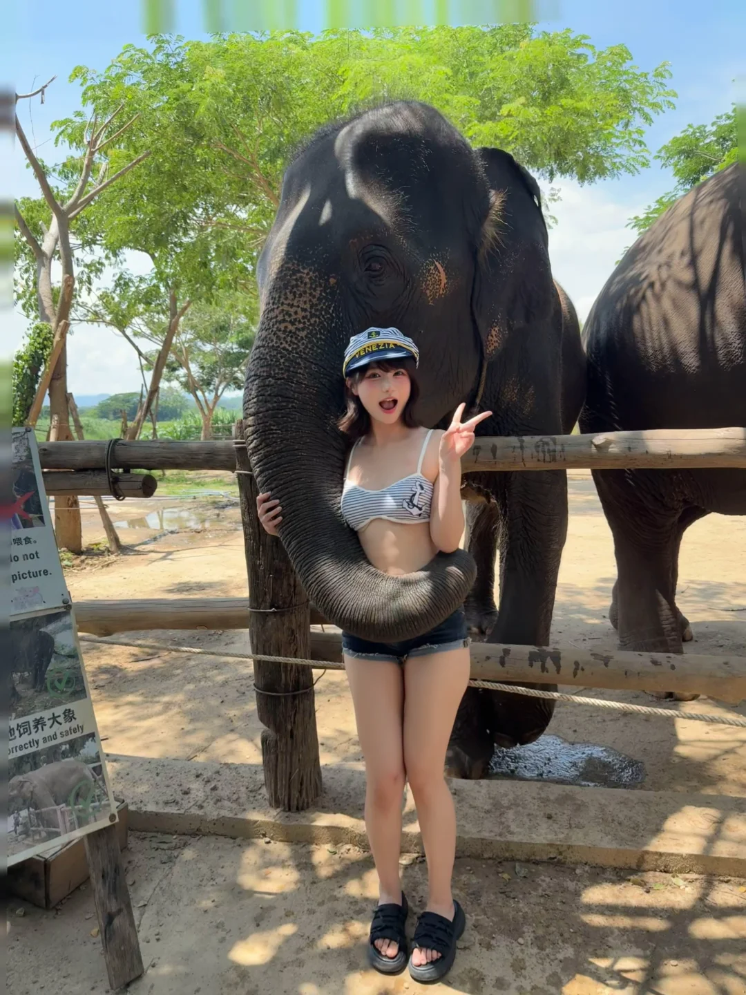 🐘Elephant Hug💕