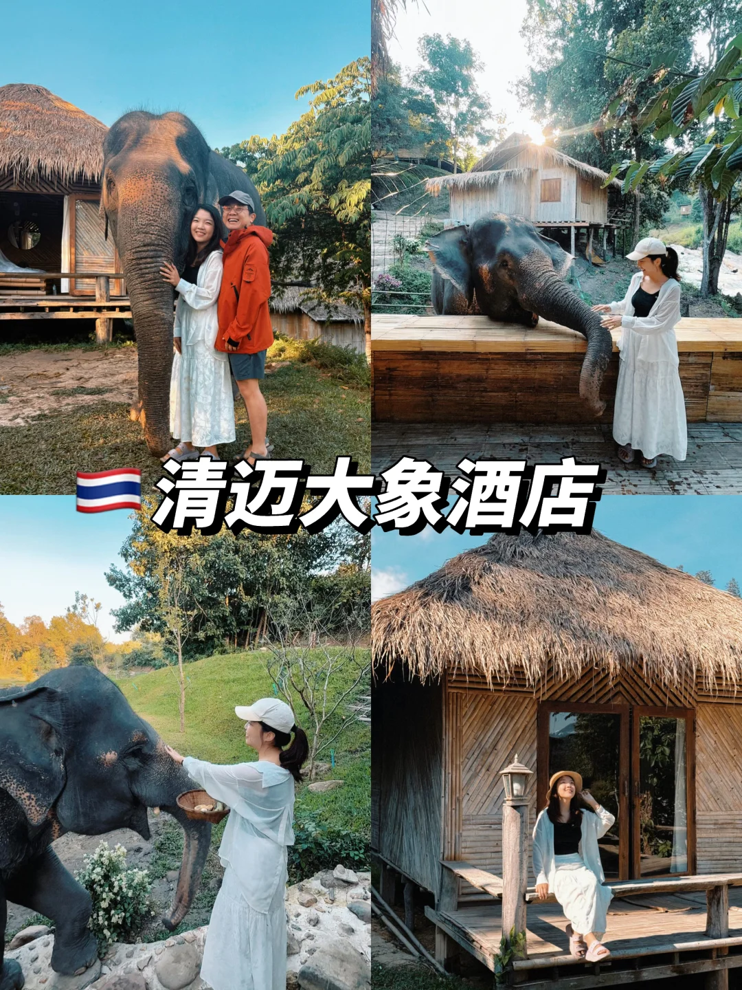 🇹🇭清迈｜一大早被大象🐘叫醒！