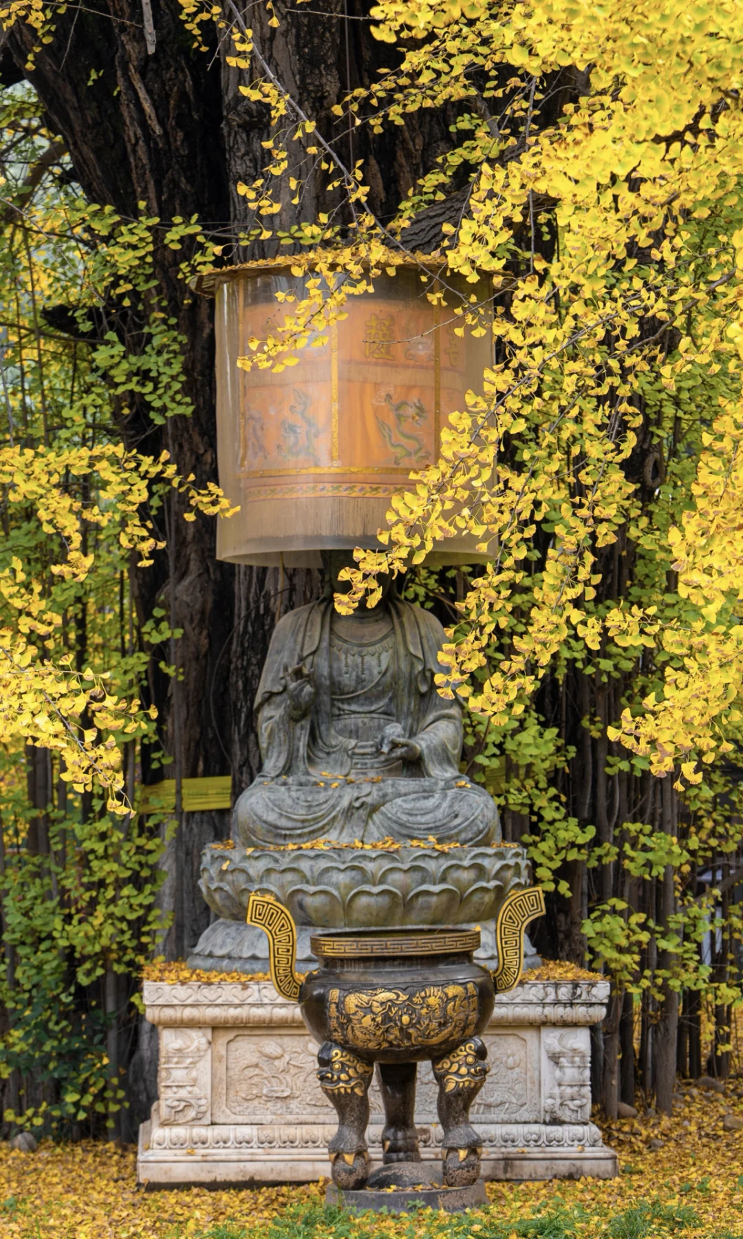 来西安拍完这个16个机位，再离开❗️