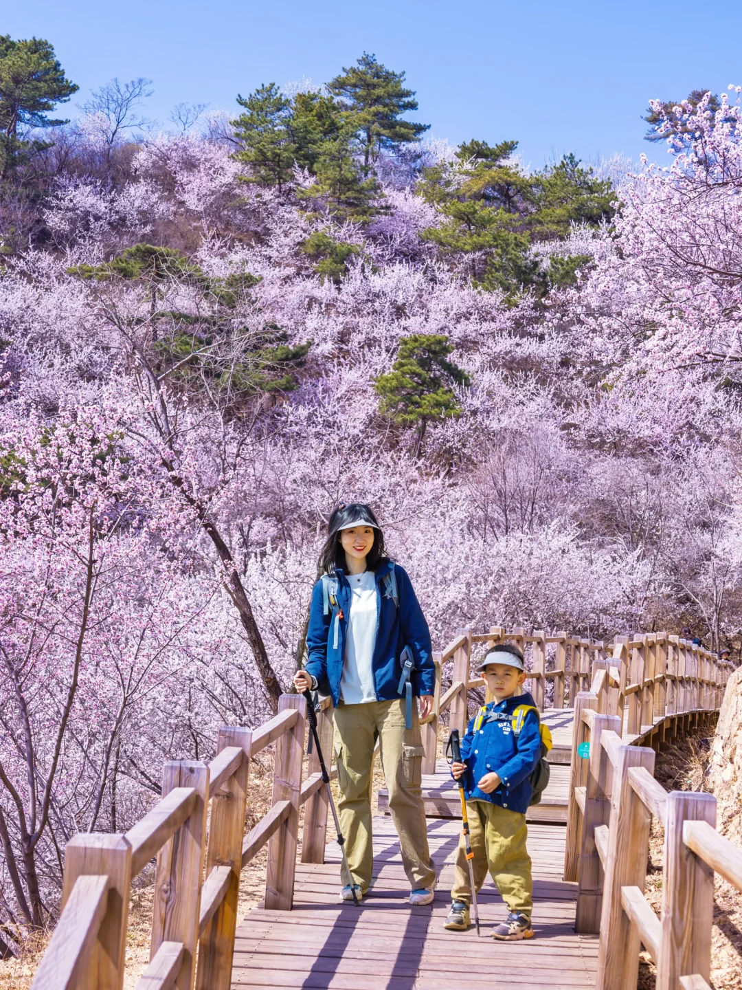 本周开花‼️快去这🔟个赏花顶流🔥徒步路线‼️