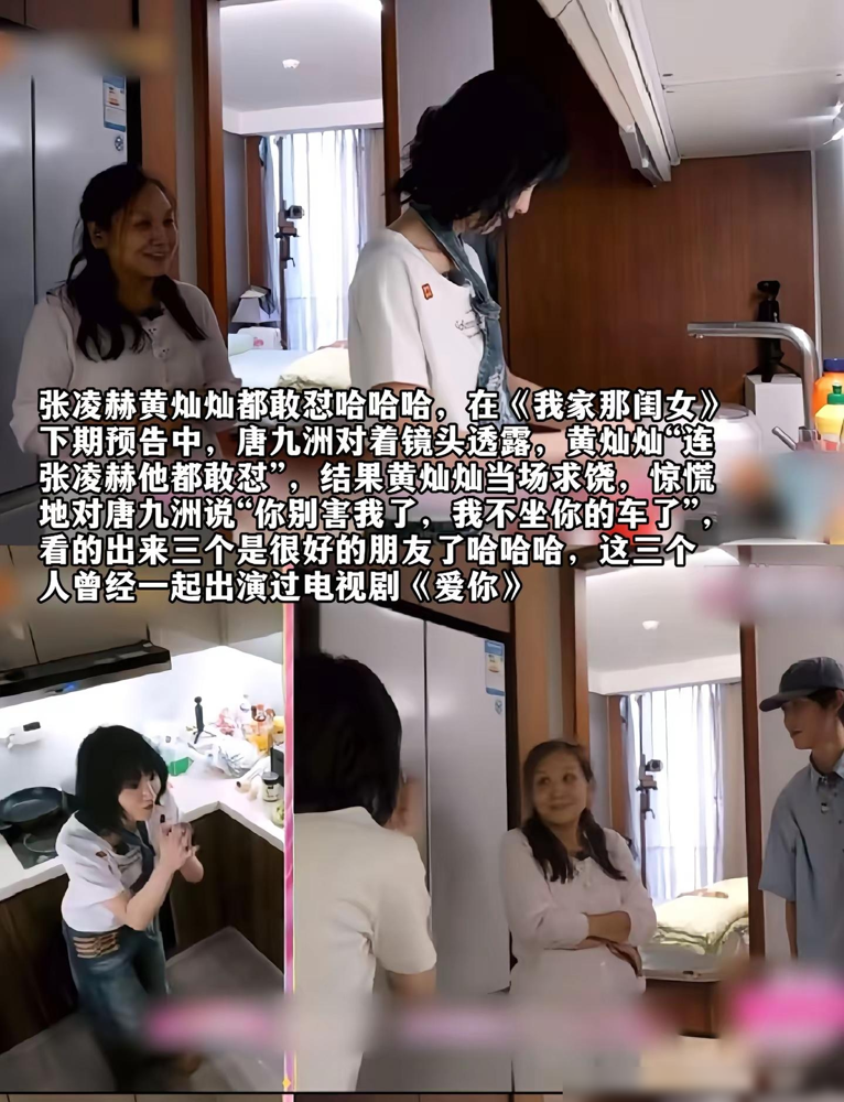 唐九洲一句黄灿灿连张凌赫都敢怼，直接把黄灿灿吓到摆手求饶，直呼别害我了。随后他解释，张凌赫平常就爱开玩笑，两人只是朋友间的直言直语。他们曾合作电视剧《爱你》，一个饰演男主，一个饰演女主闺蜜，私下很熟悉。话题登上热搜后，双方工作室都没有回应。如今在镜头前不刻意客套的明星关系，反而显得更真实。