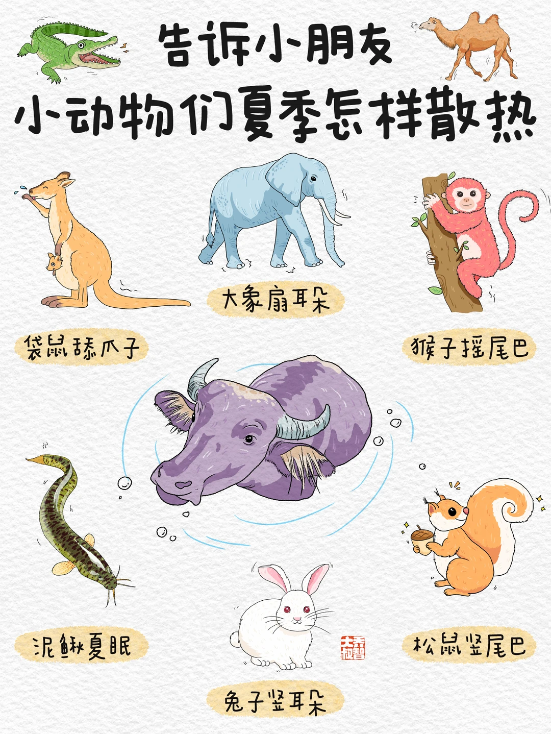 🐛 小朋友，你知道小动物们夏天怎样散热吗？