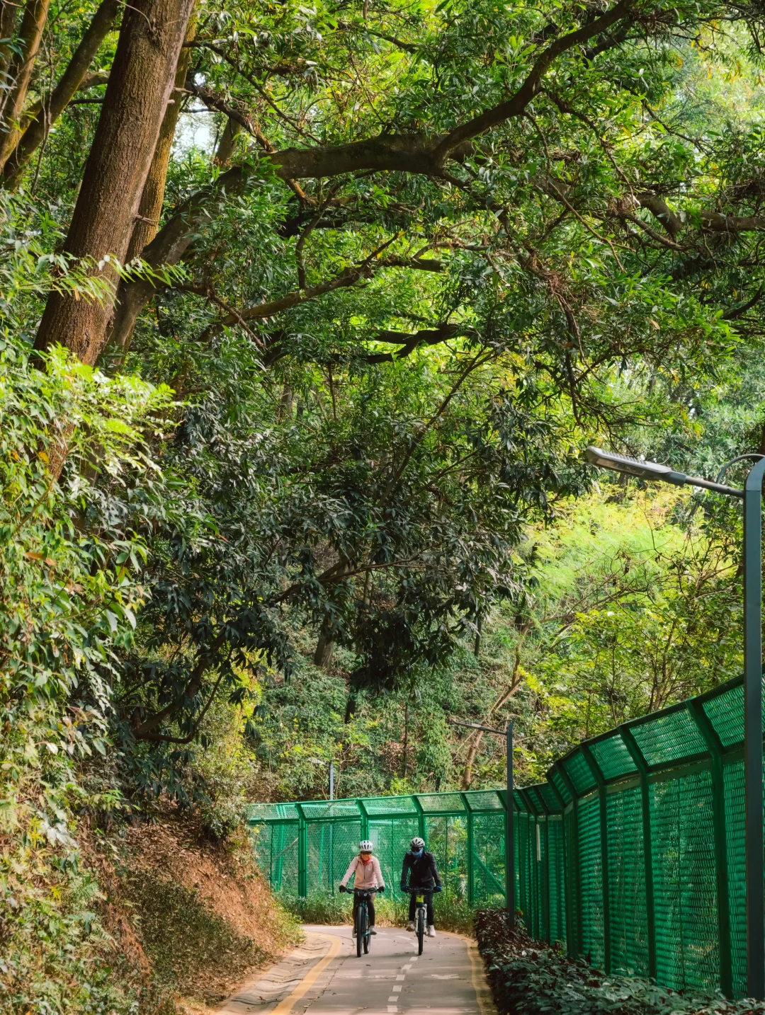 清明踏青🍃深圳10条绝美徒步路线推荐