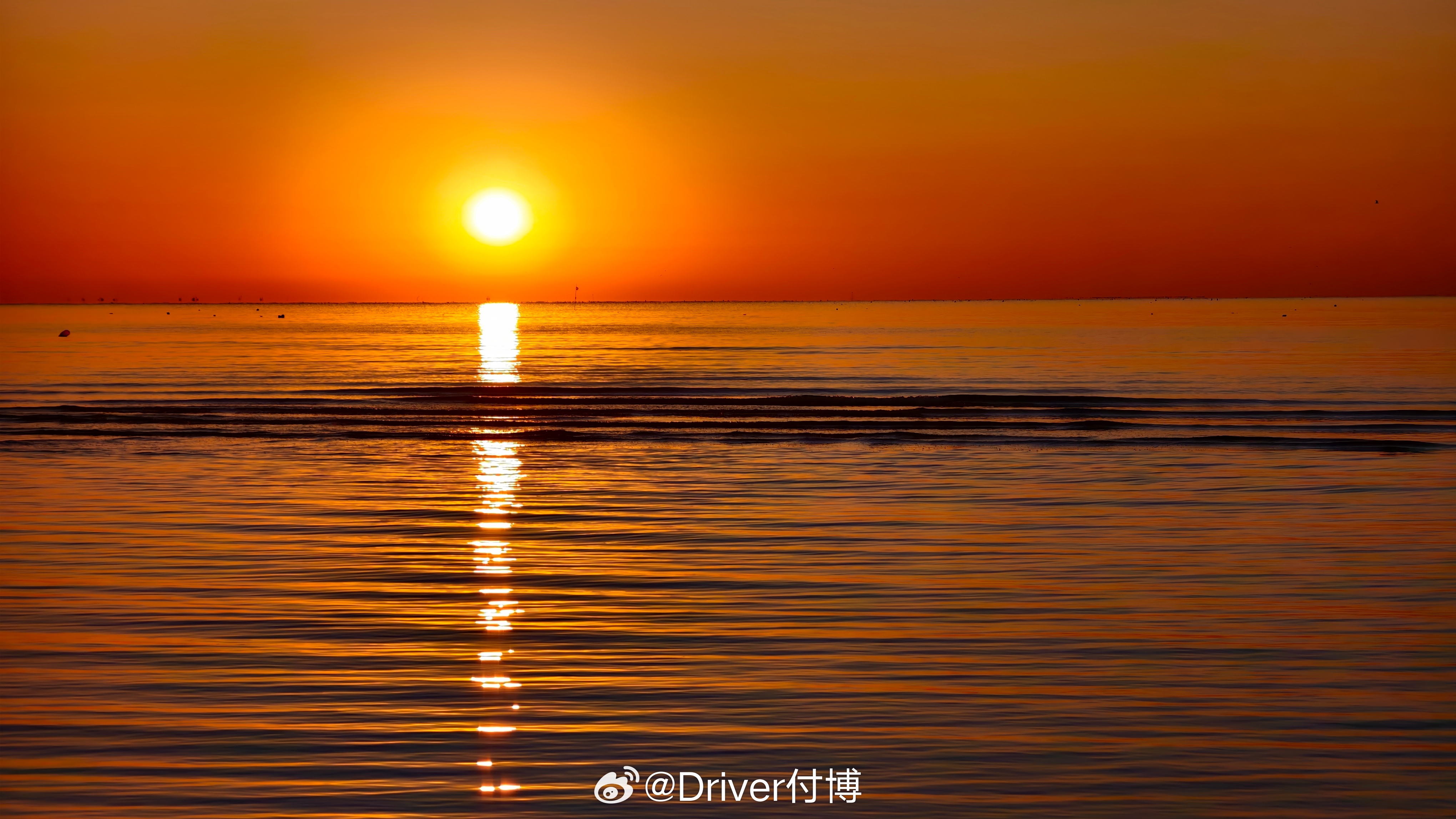 东方欲晓，莫道君行早。踏遍青山人未老，风景这边独好。 ​​​