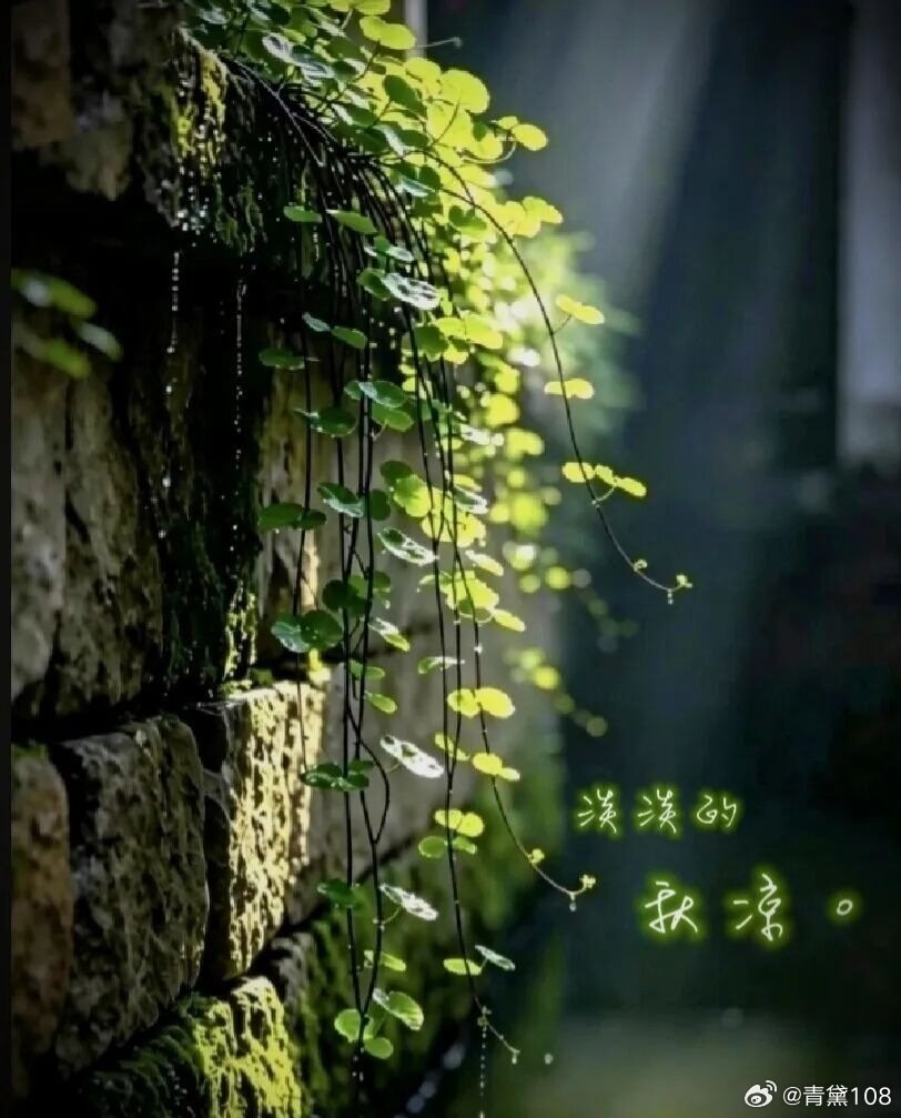 《淡淡的秋凉》
存在即合理。万物皆有流转的宿命，而心境，才是照耀一切的前提
#苹果18 抢不到##周末##周末愉快##周末去哪儿##早安# ​