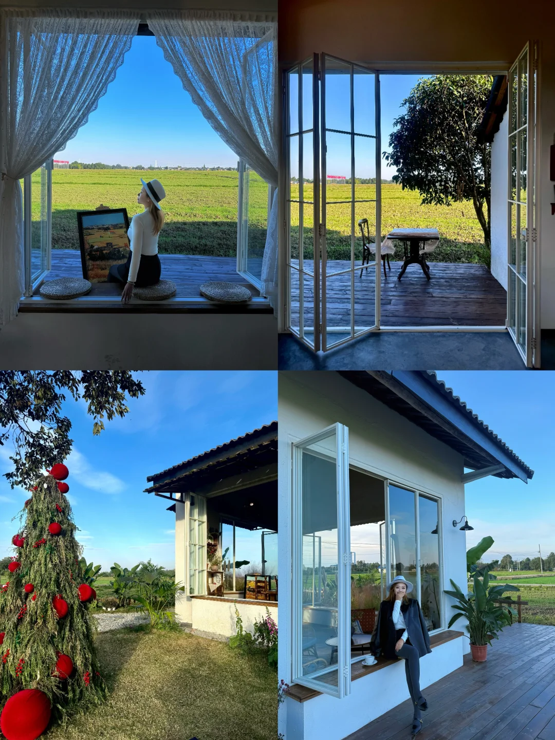 没去大理！邛崃！稻田咖啡也太治愈了