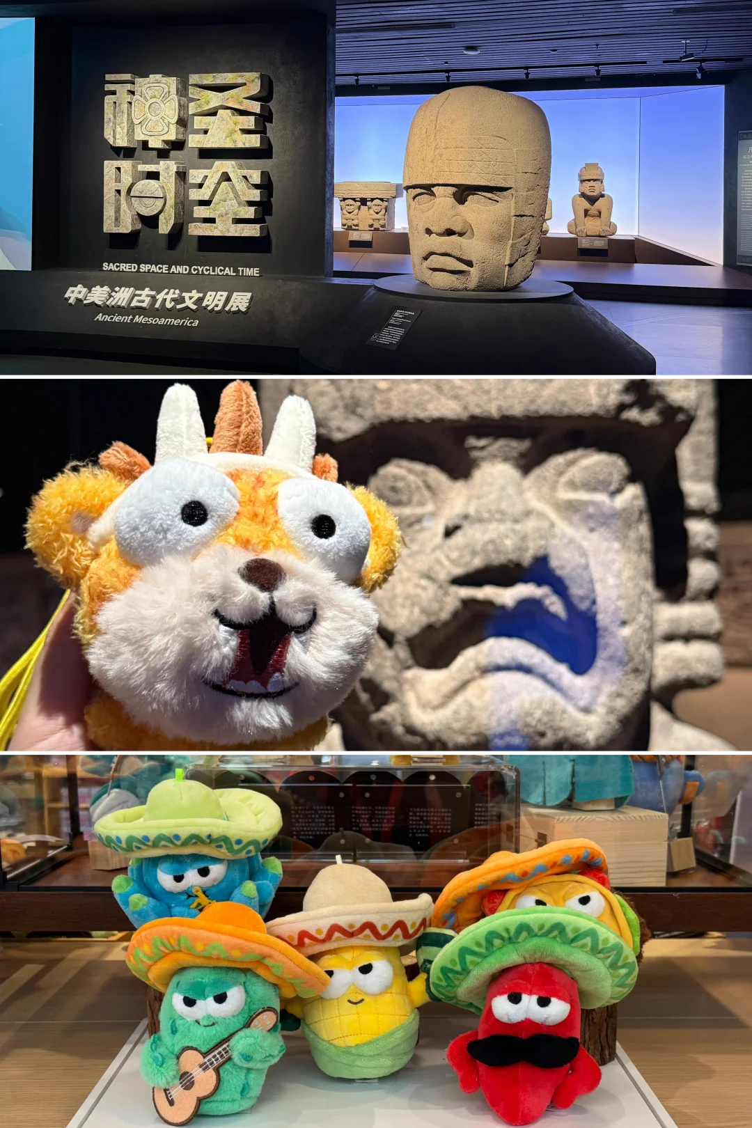 上海探展｜没想到被新展的文创毛绒硬控了😂