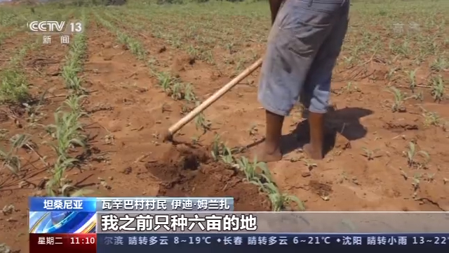 坦桑尼亞村民: 中國技術讓我們過上瞭好日子-圖10