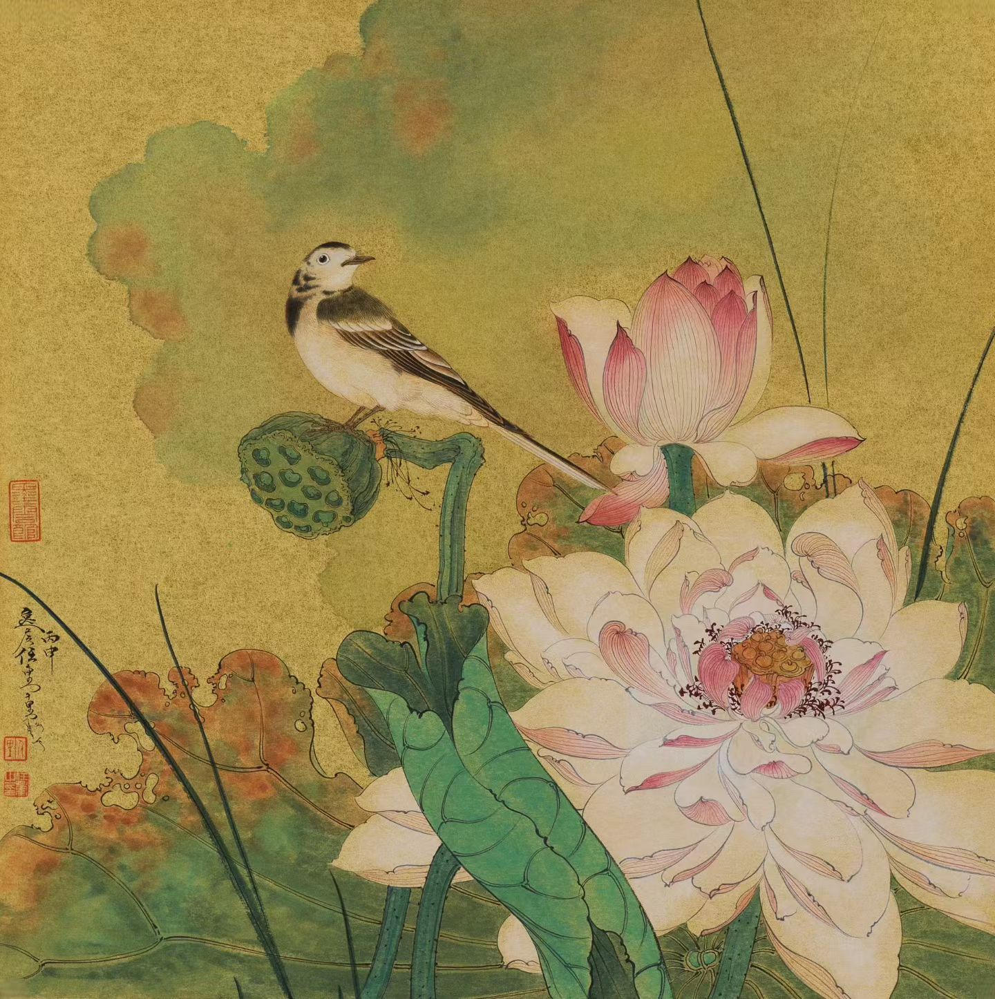 任重  39×39cm  🈶合影   金卡两张