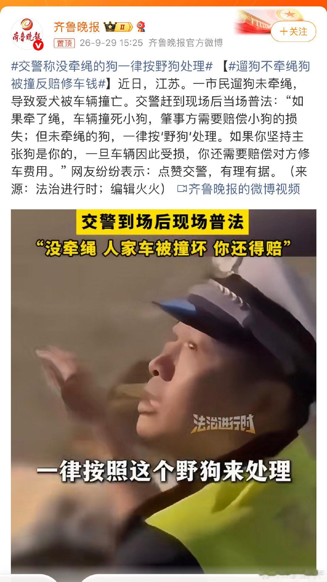 #交警称没牵绳的狗一律按野狗处理# 这位警察讲的太好了！百分之百、千分之千、万分之万赞成！支持！鼓掌！[good][good] ​