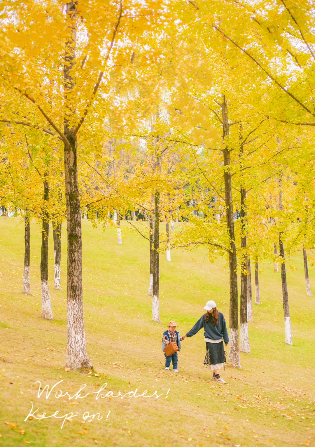 银杏黄时，重庆解封🌲没有人的中央公园！