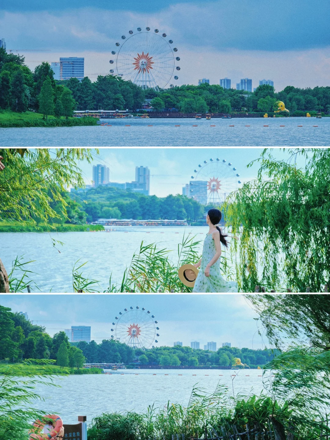 广州这个湖泊杨柳摩天轮公园太好逛了！！