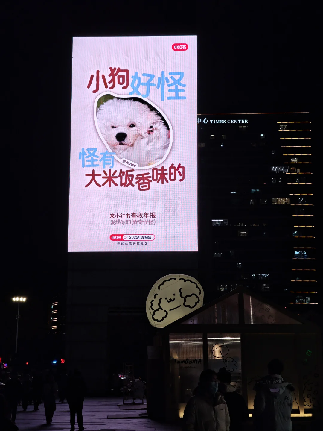 💥景枫大屏太会啦！2025年怪好玩的！