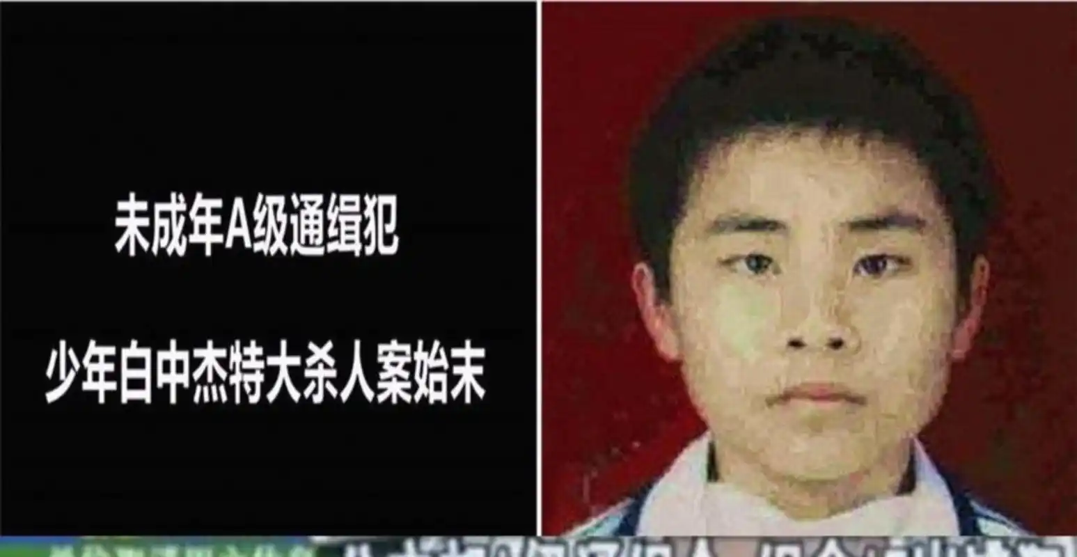 公安部自2000年实行A级通缉令以来，年龄最小的A级通缉犯白中杰，1993年9月出生于贵州省镇远县，2010年8月因涉嫌参与系列抢劫杀人案被通缉时，年仅17岁。

主要信源：（央视网——90后少年抢劫两起杀三人 犯数罪成A级通缉犯(图)）

2010年8月，公安部发布的一张A级通缉令打破了夏日的平静