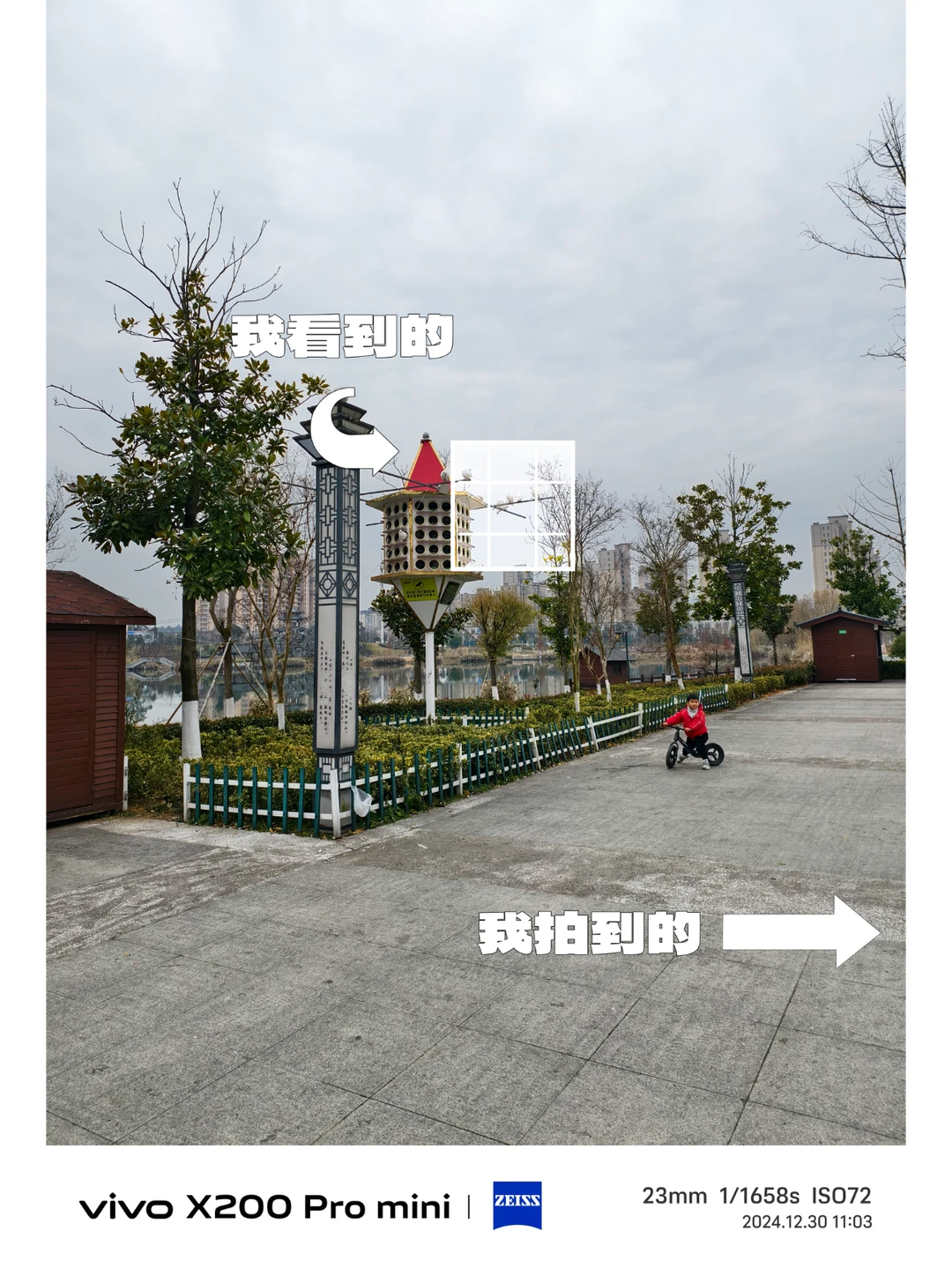 我看到的和我拍到的，长焦发现美