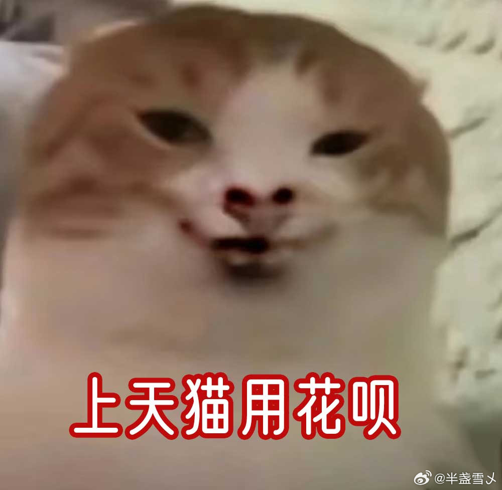 全款肯定不买，但分期免息可以冲一下Pro #花呗官宣天猫买新iPhone24期免息# ​